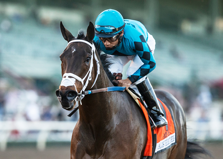 Roy H wins the 2019 Palos Verdes Stakes at Santa Anita Park