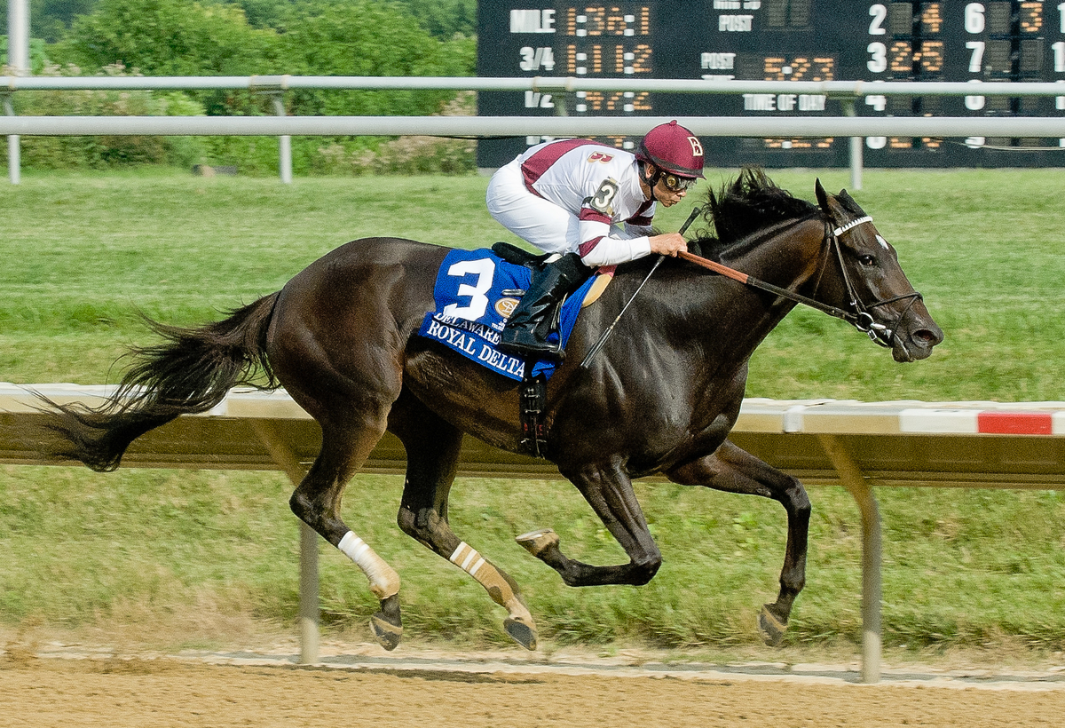 Royal Delta 7-20-2013