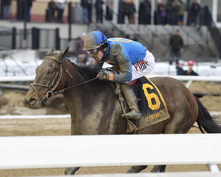 Royal Albert Hall wins the 2019 Bernardini Stakes