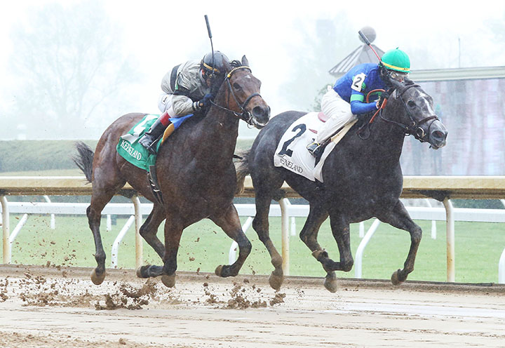 Royal Charlotte wins an April 19 optional claiming race