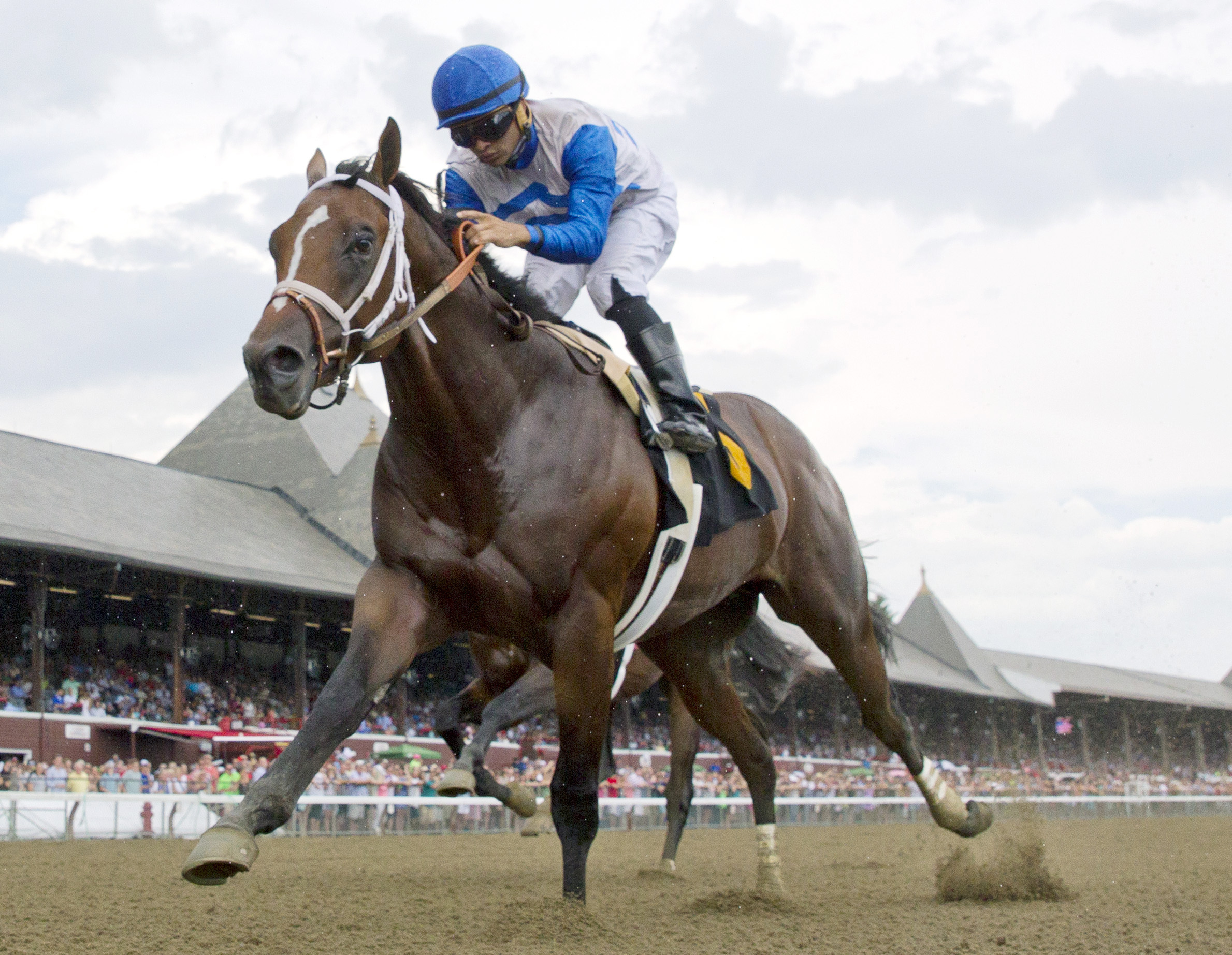 Royal Copy wins a maiden race