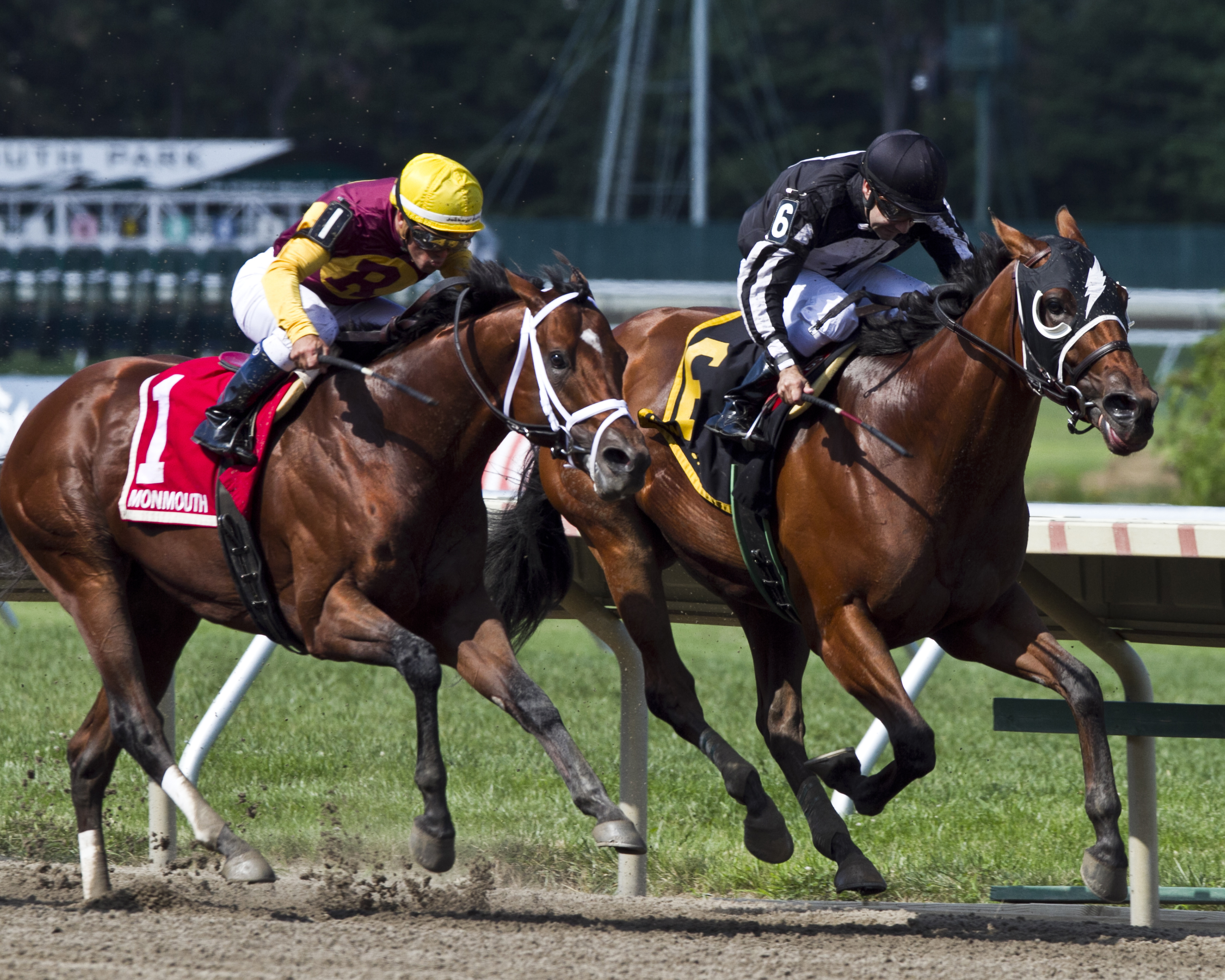 Royal Currier and Travelin Man/Teddy Drone Stakes