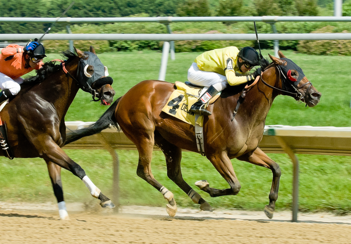 Royal Currier 6-18-2014