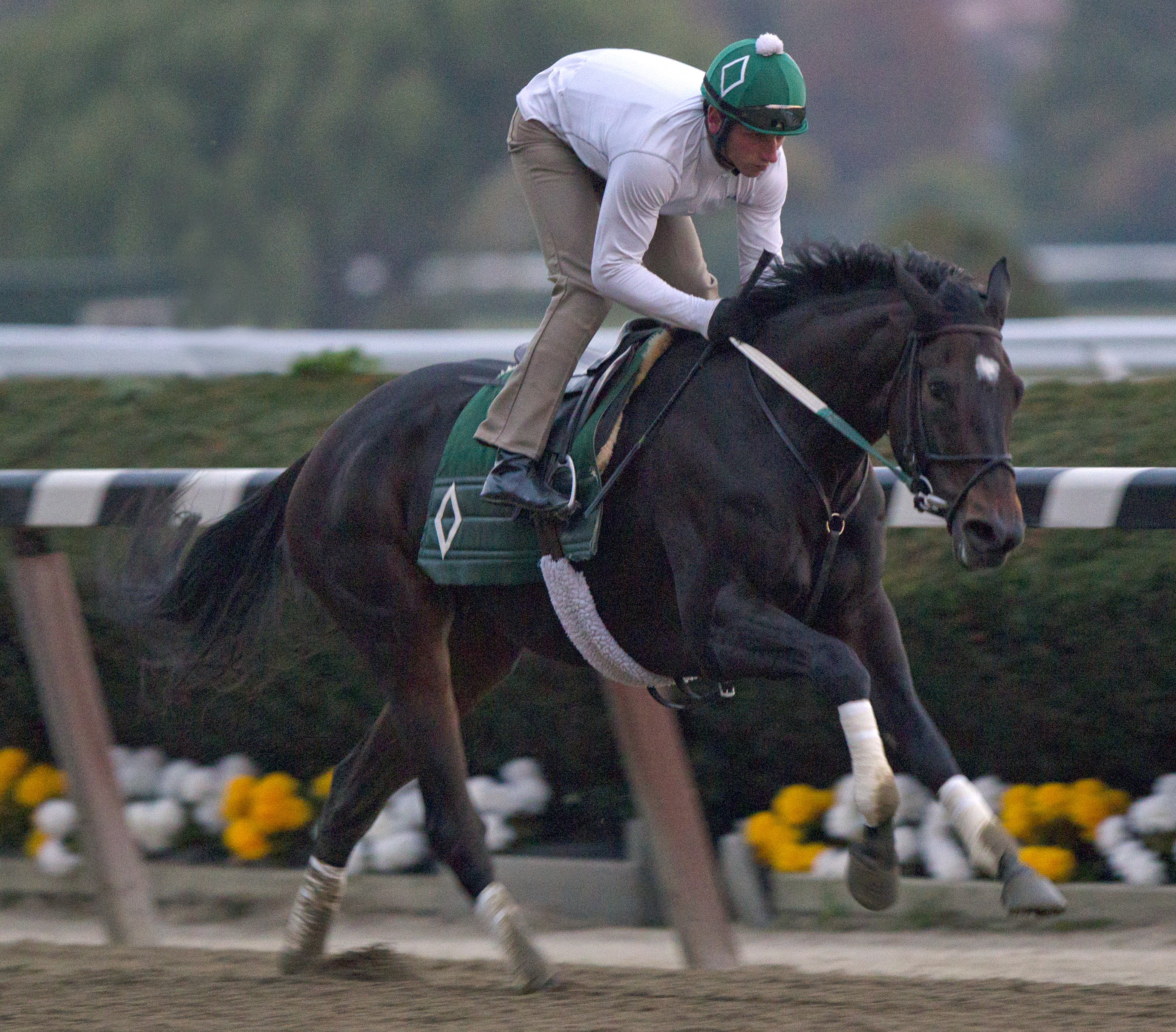 Royal Delta