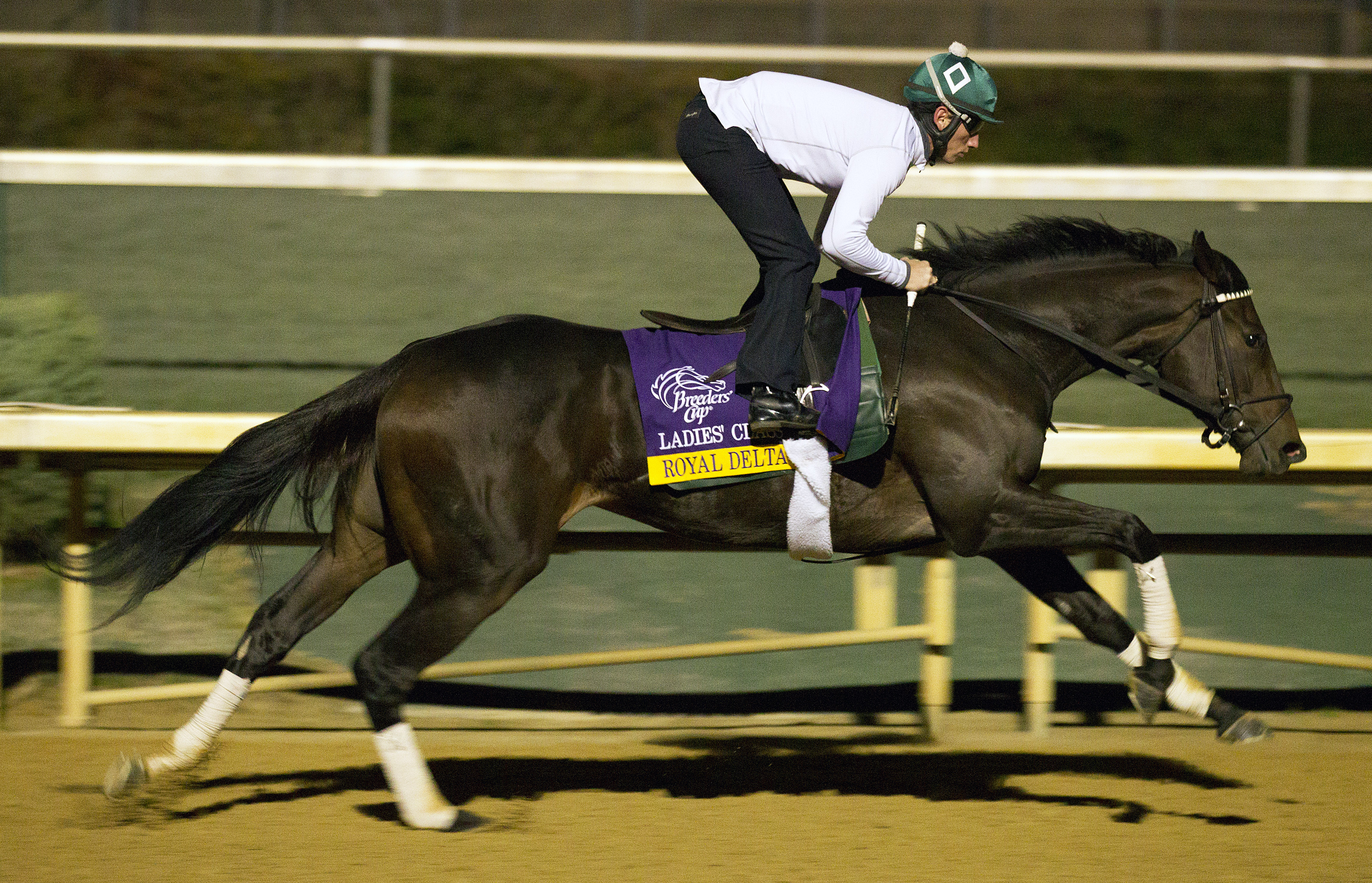 Royal Delta 10-30-2011