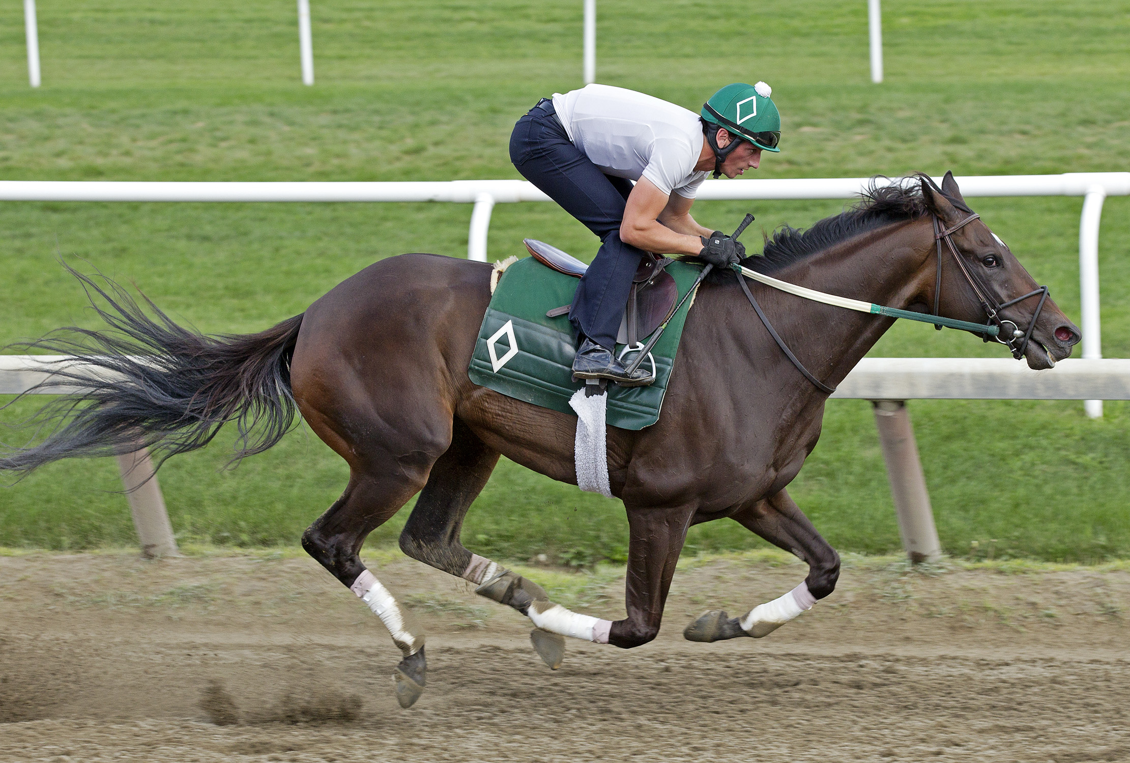 Royal Delta