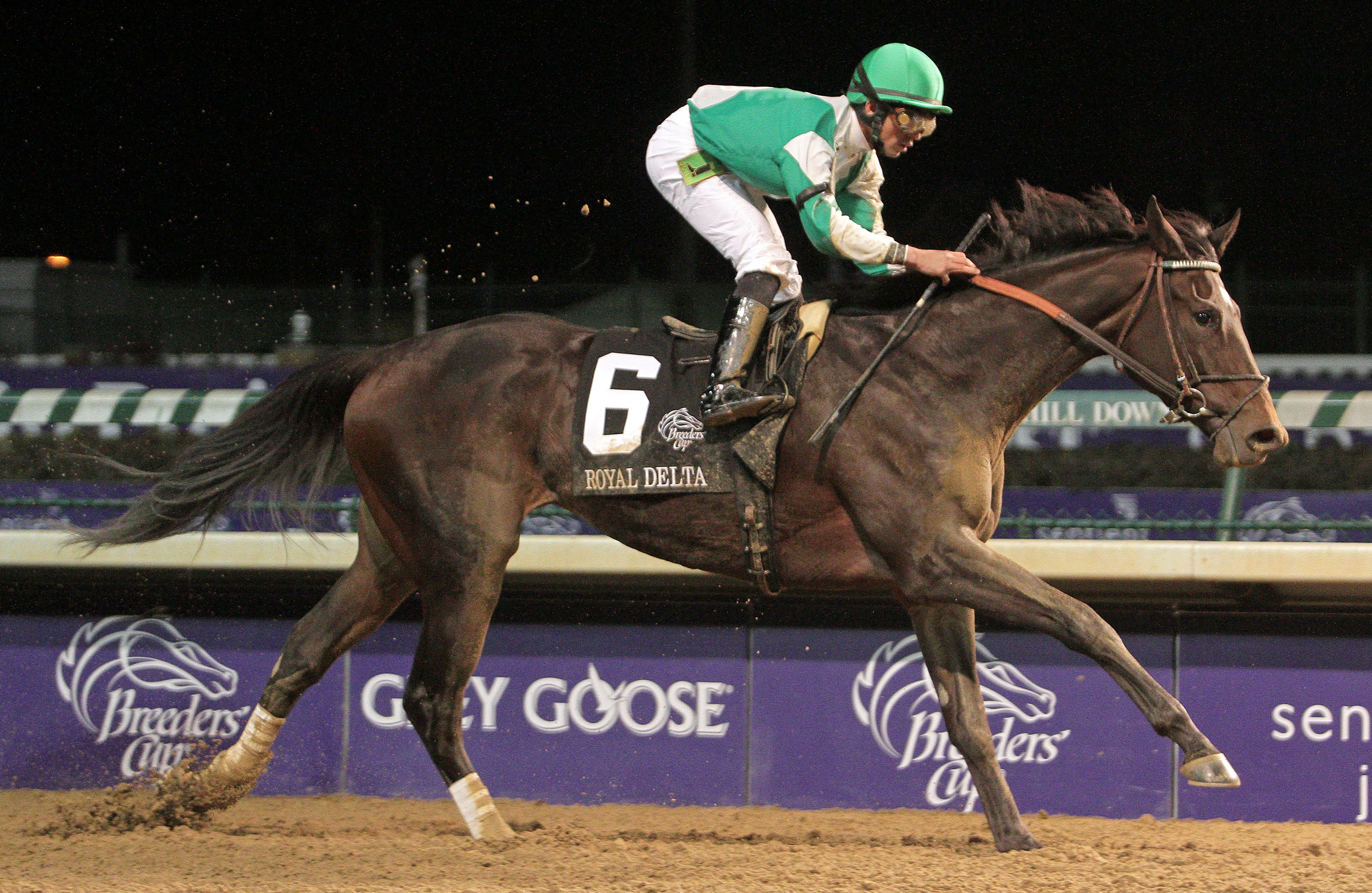Royal Delta, Ladies' Classic