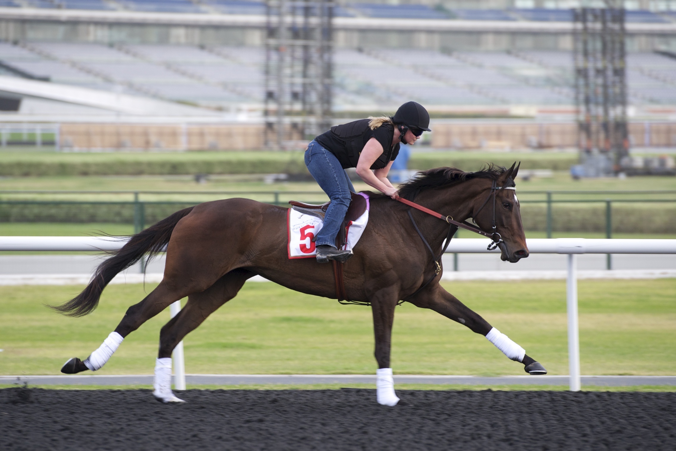 Dubai: Mott's World Cup plan for Royal Delta long time in making