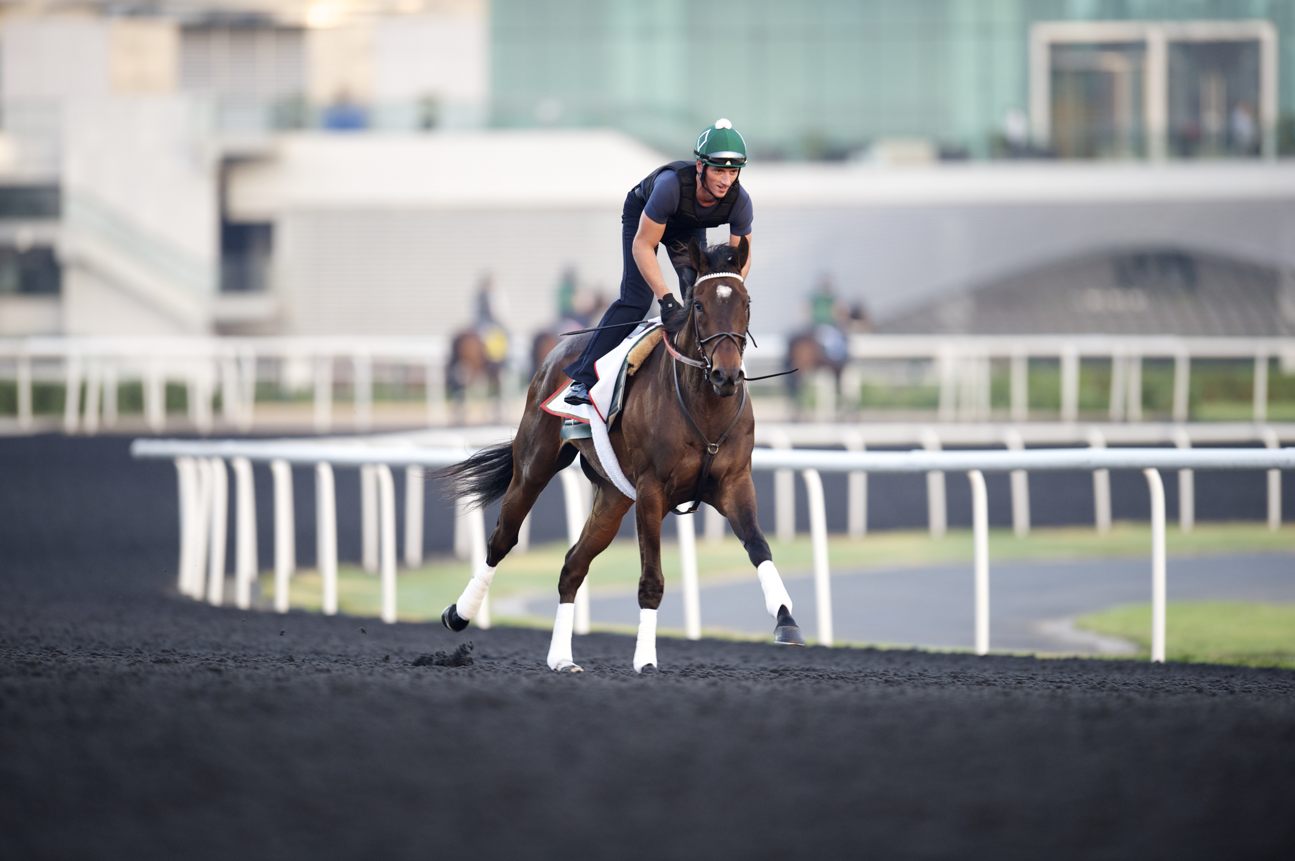Royal Delta at Meydan