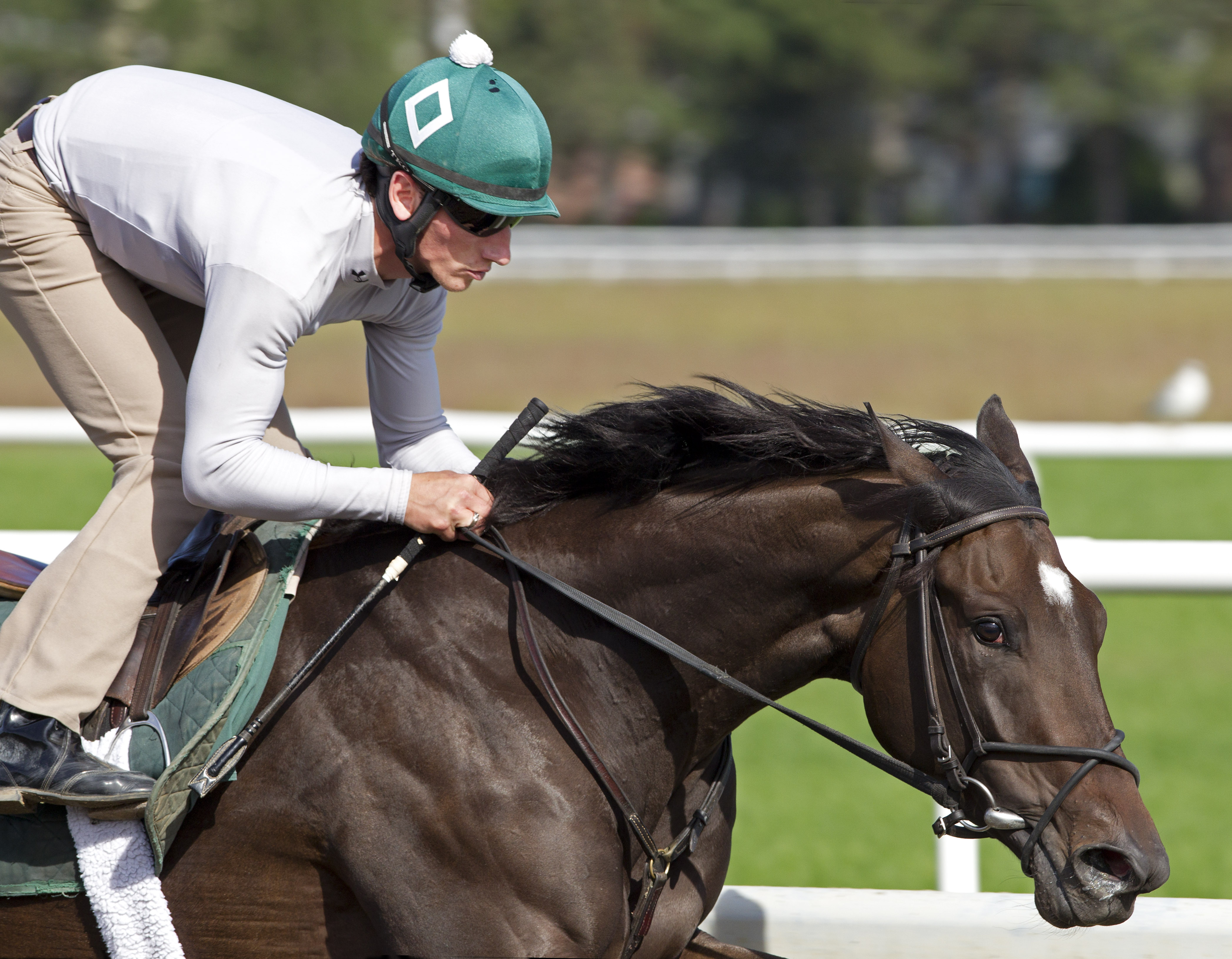 Royal Delta