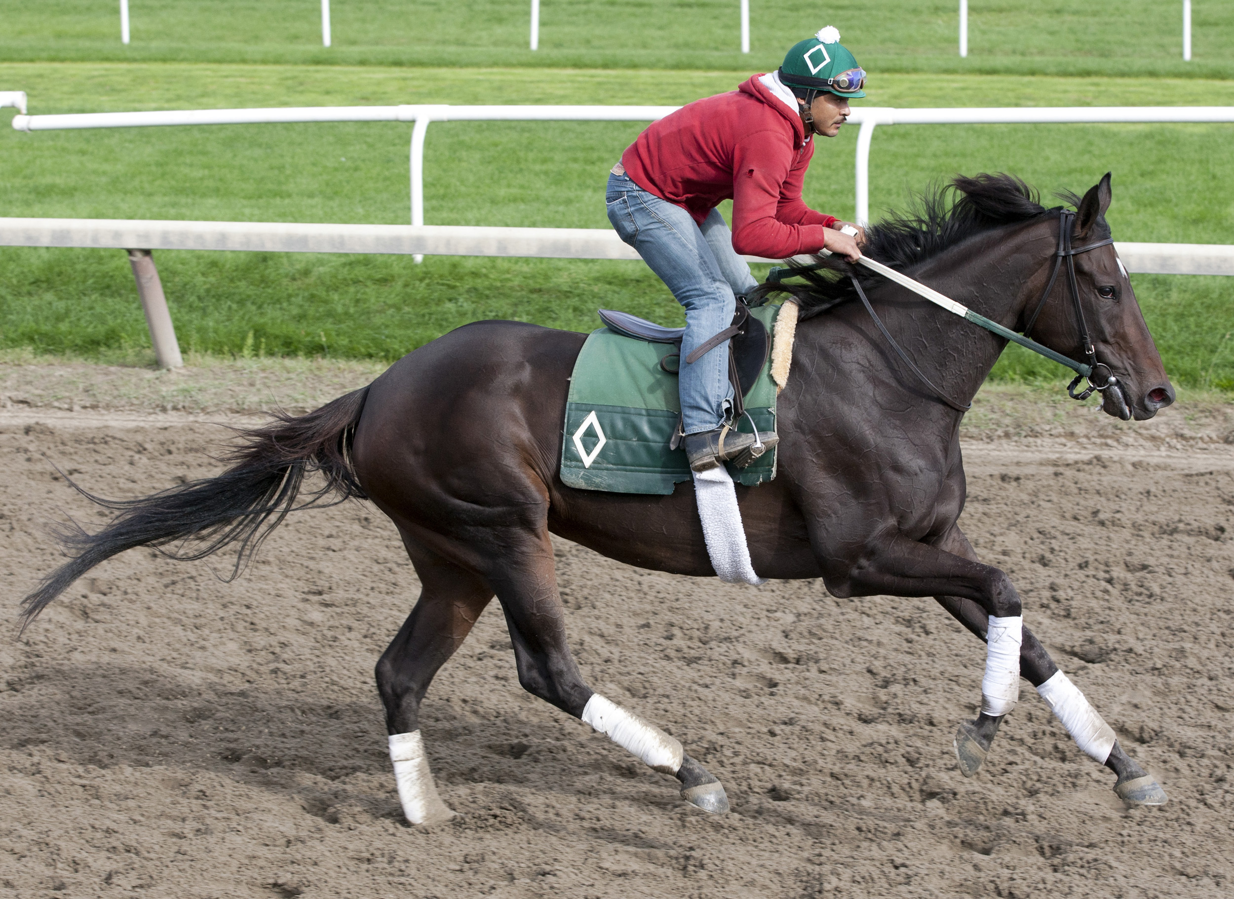 Royal Delta training