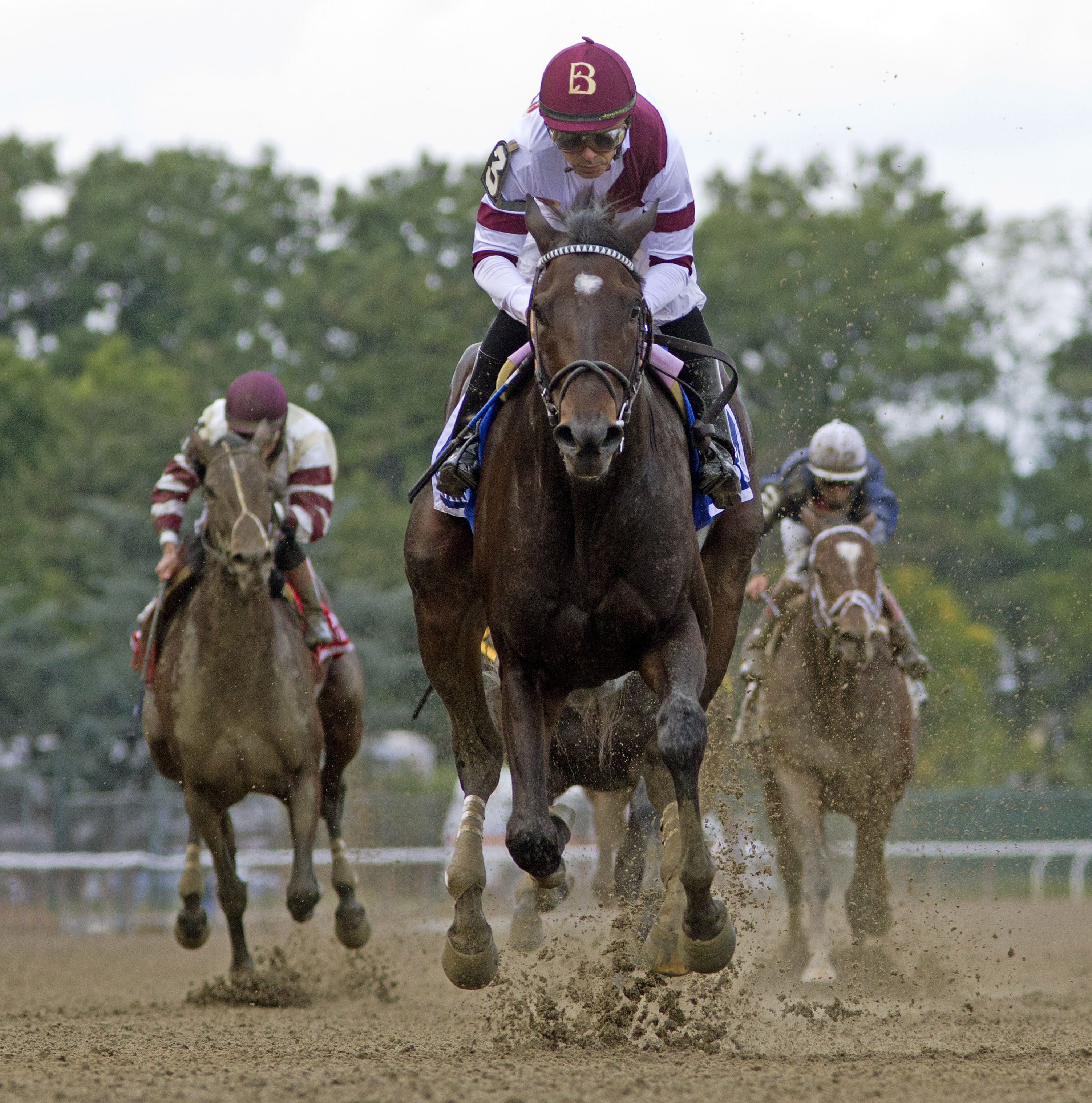 Royal Delta/Beldame