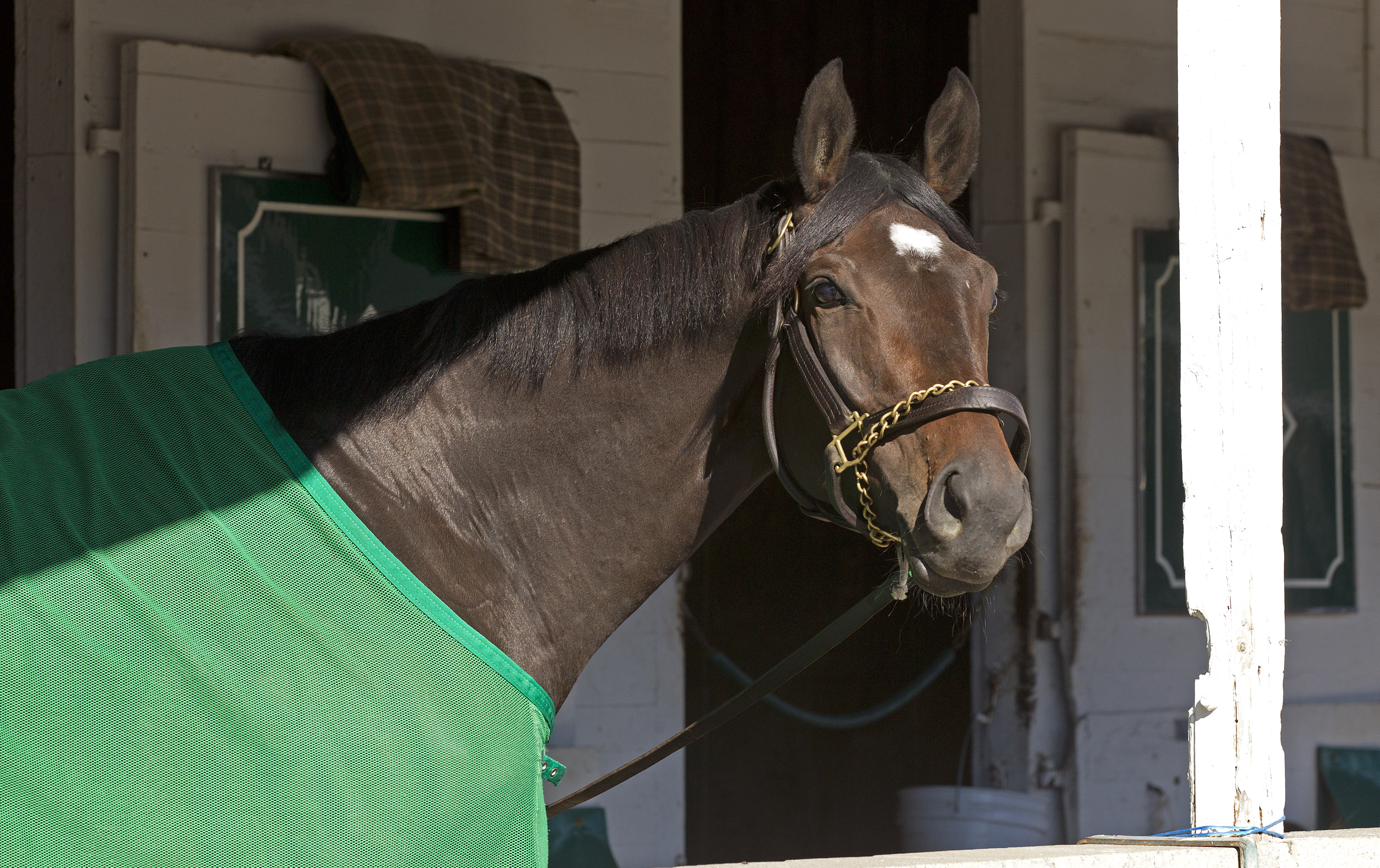Royal Delta at Churchill Downs - Oct. 25, 2011