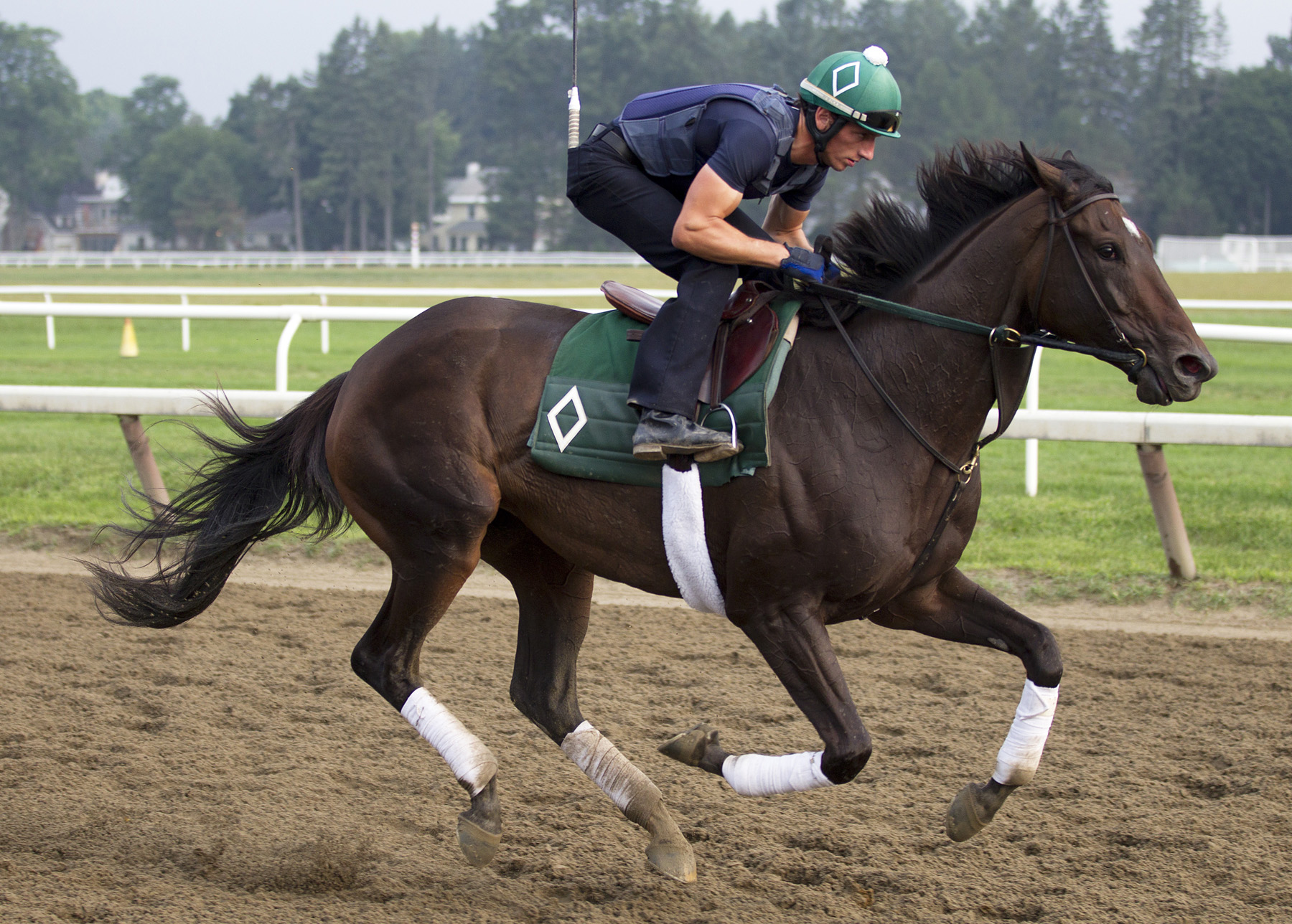 Royal Delta