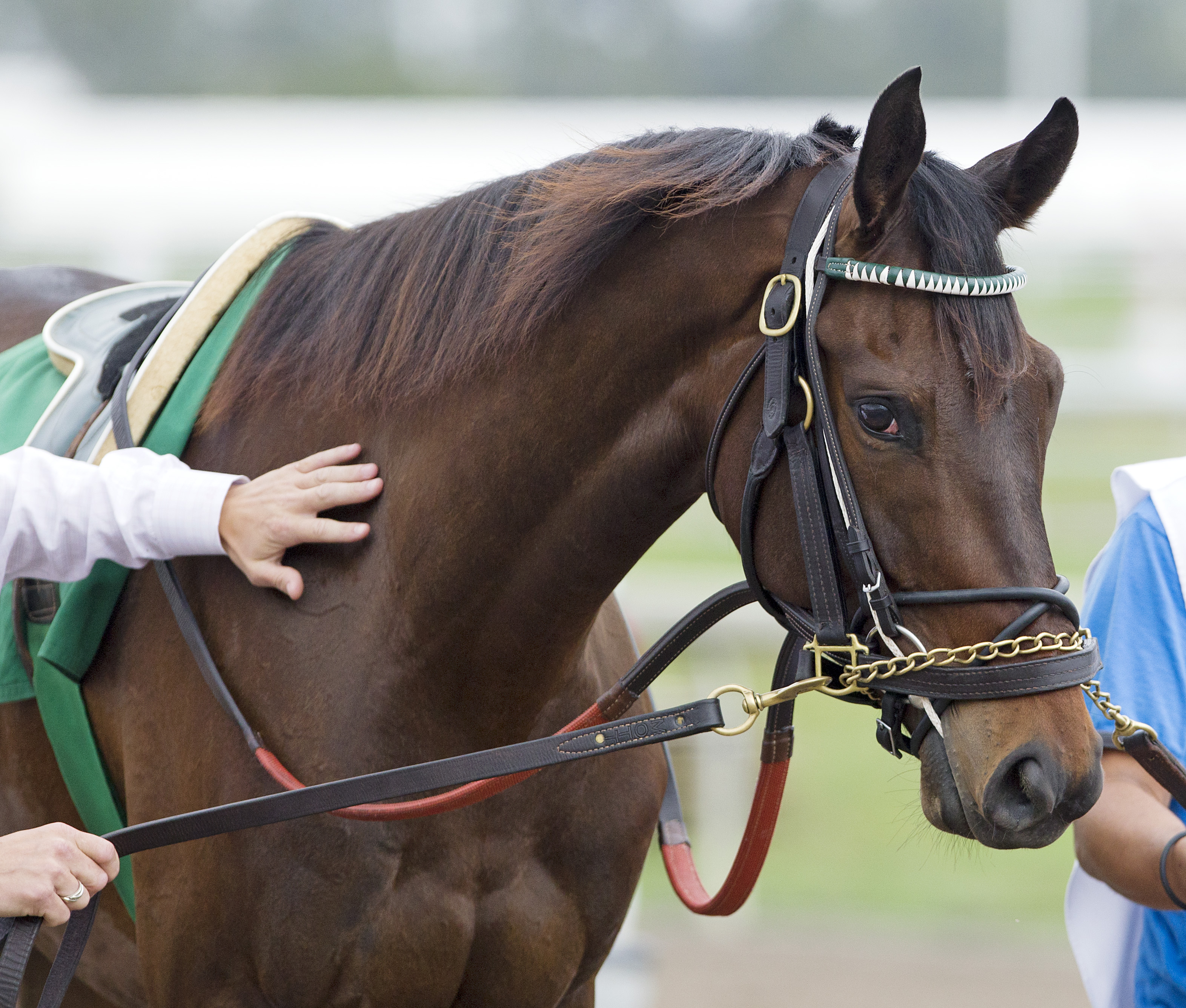 Royal Delta