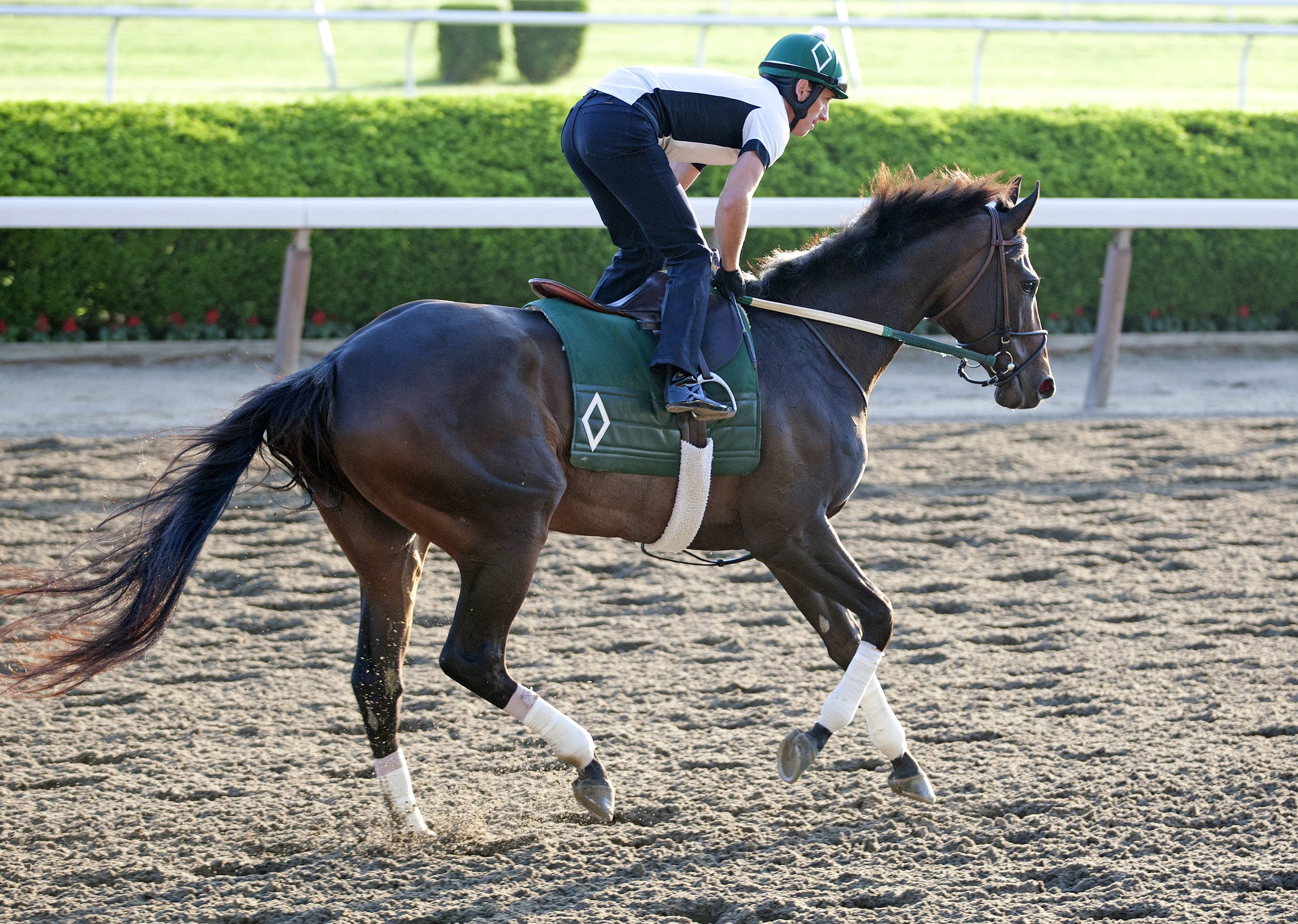 Royal Delta