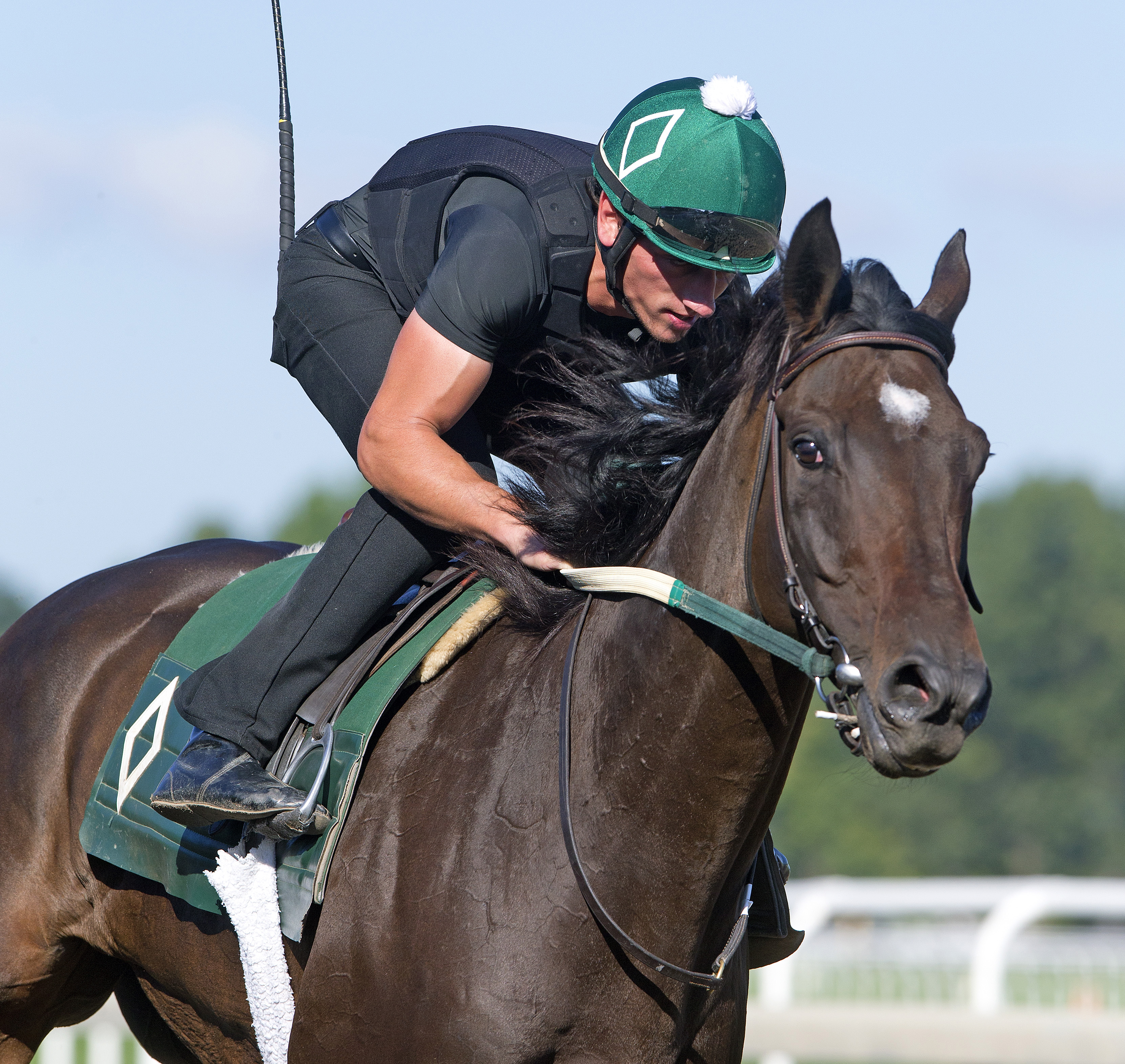 Royal Delta