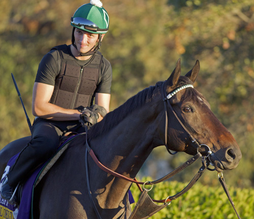 Rodolphe Brisset aboard Royal Delta in 2013