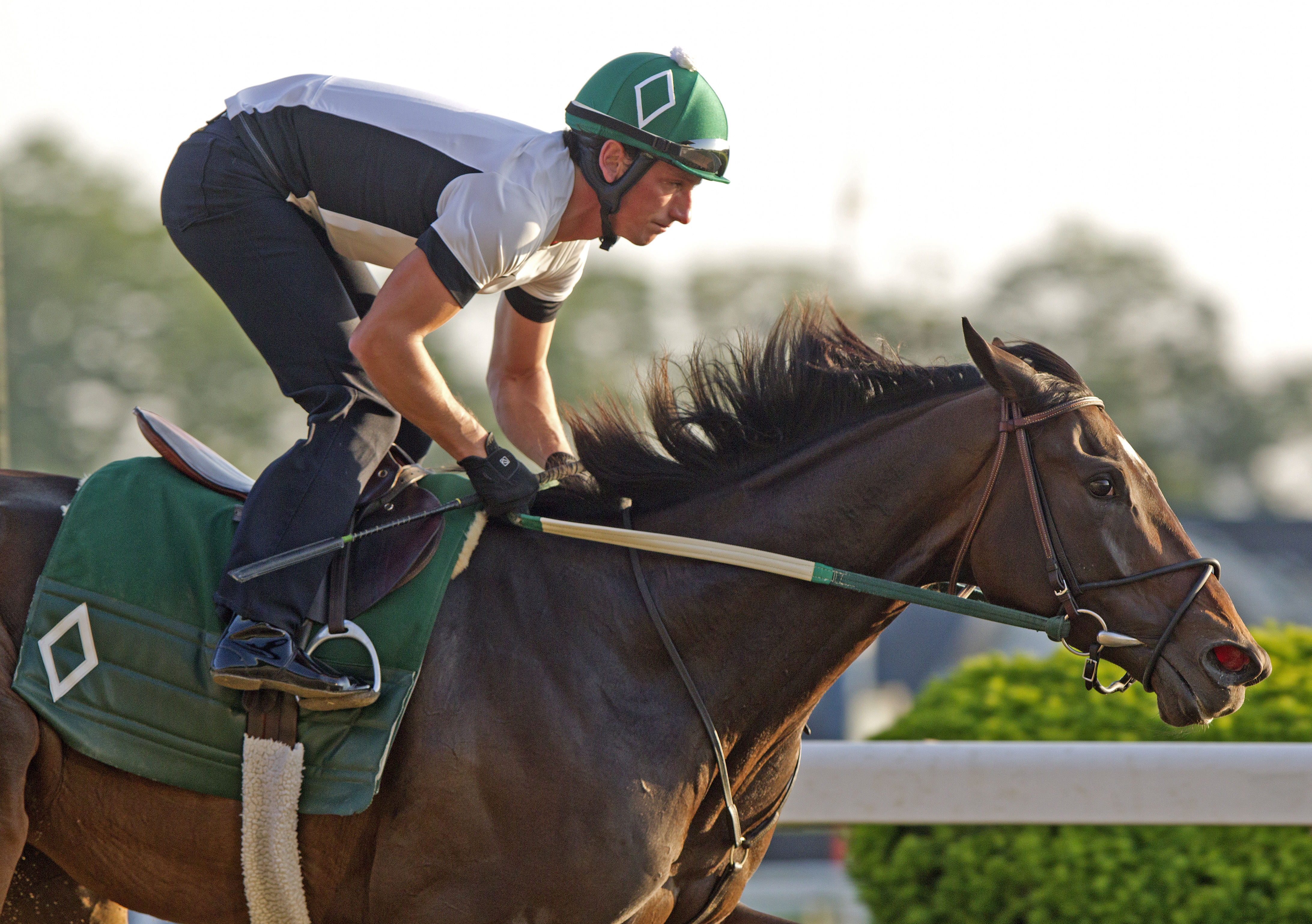 Royal Delta
