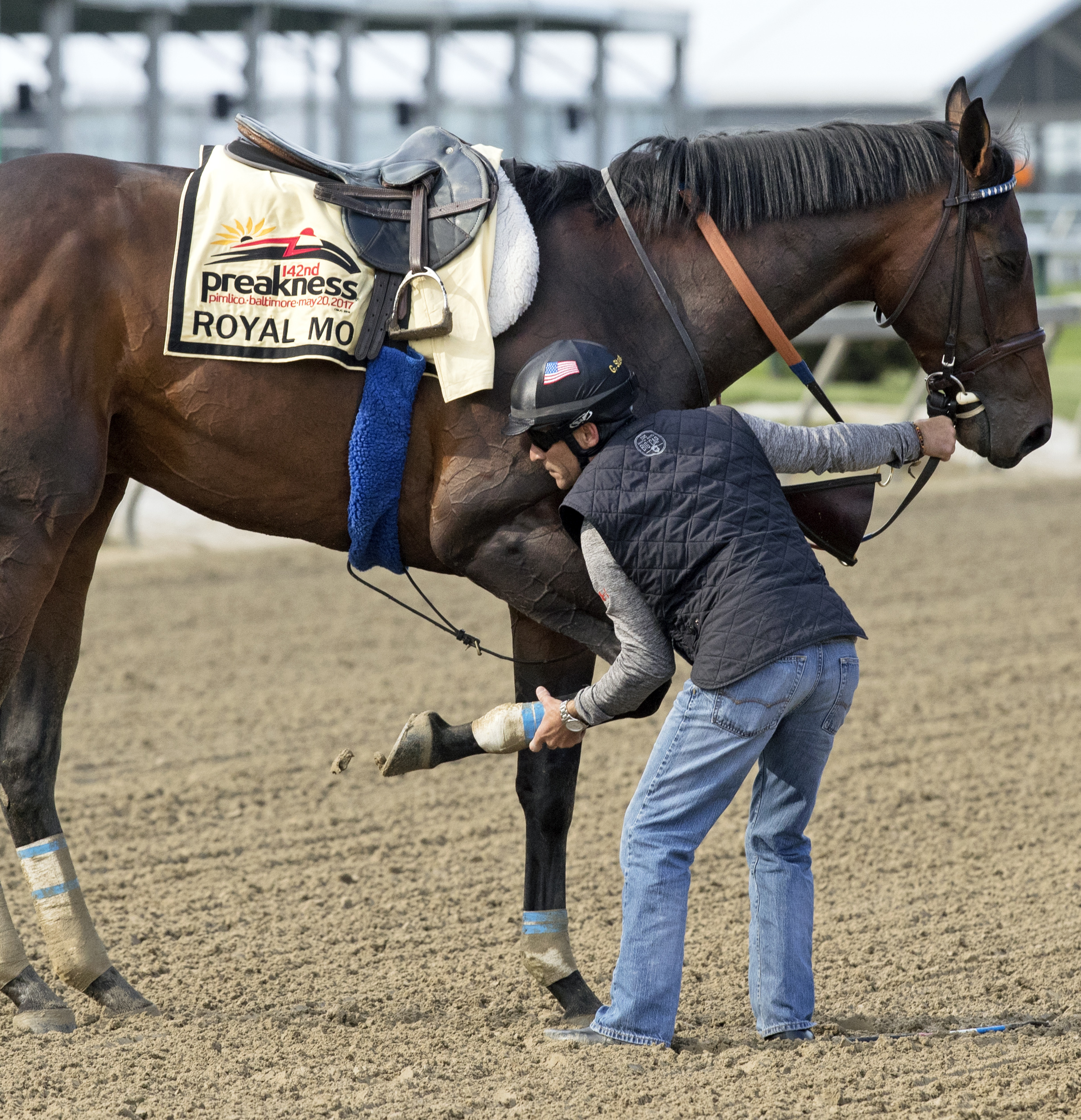 Gary Stevens holds the fractured leg of Royal Mo