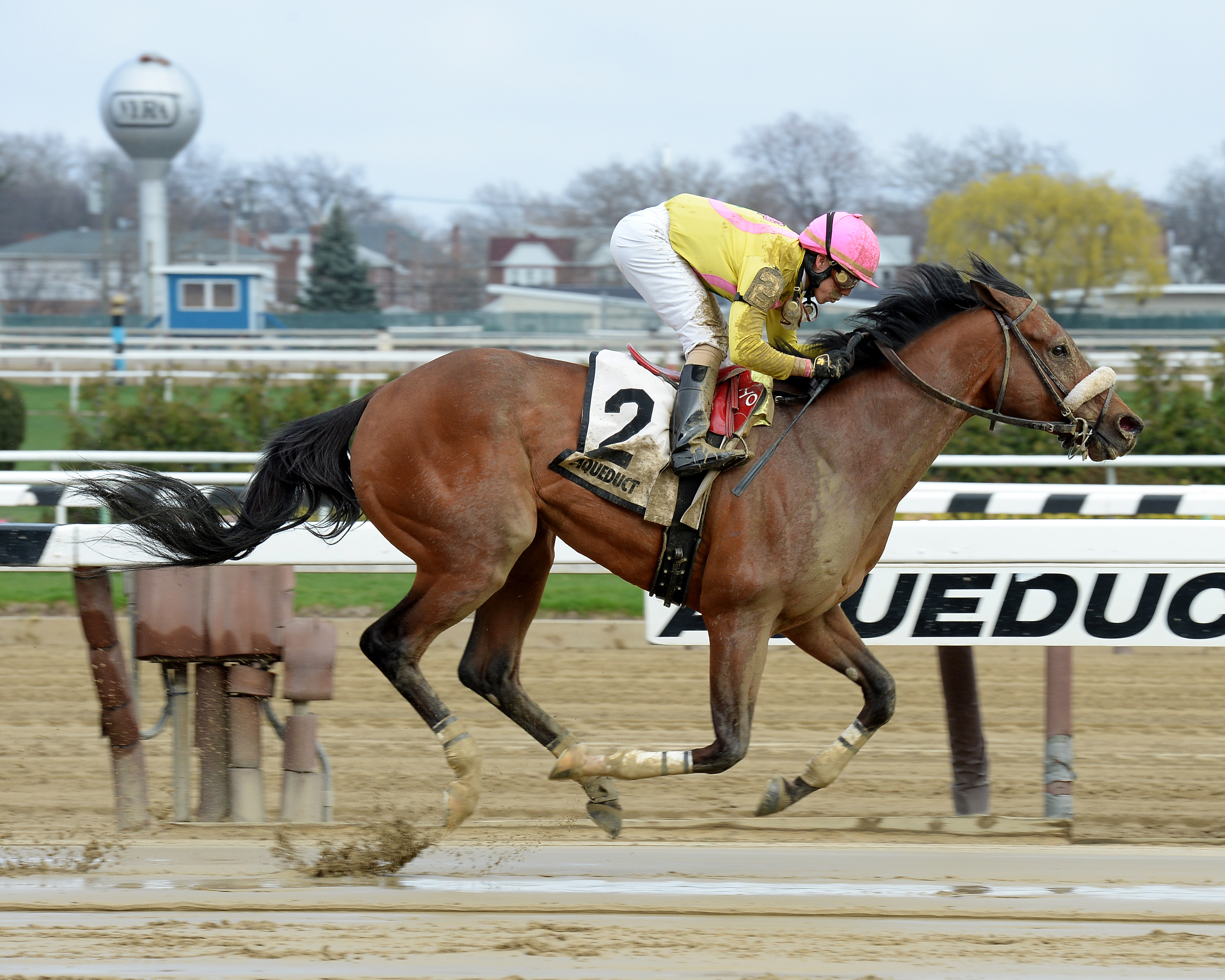 Royal Posse wins the Mr. Sinatra Stakes