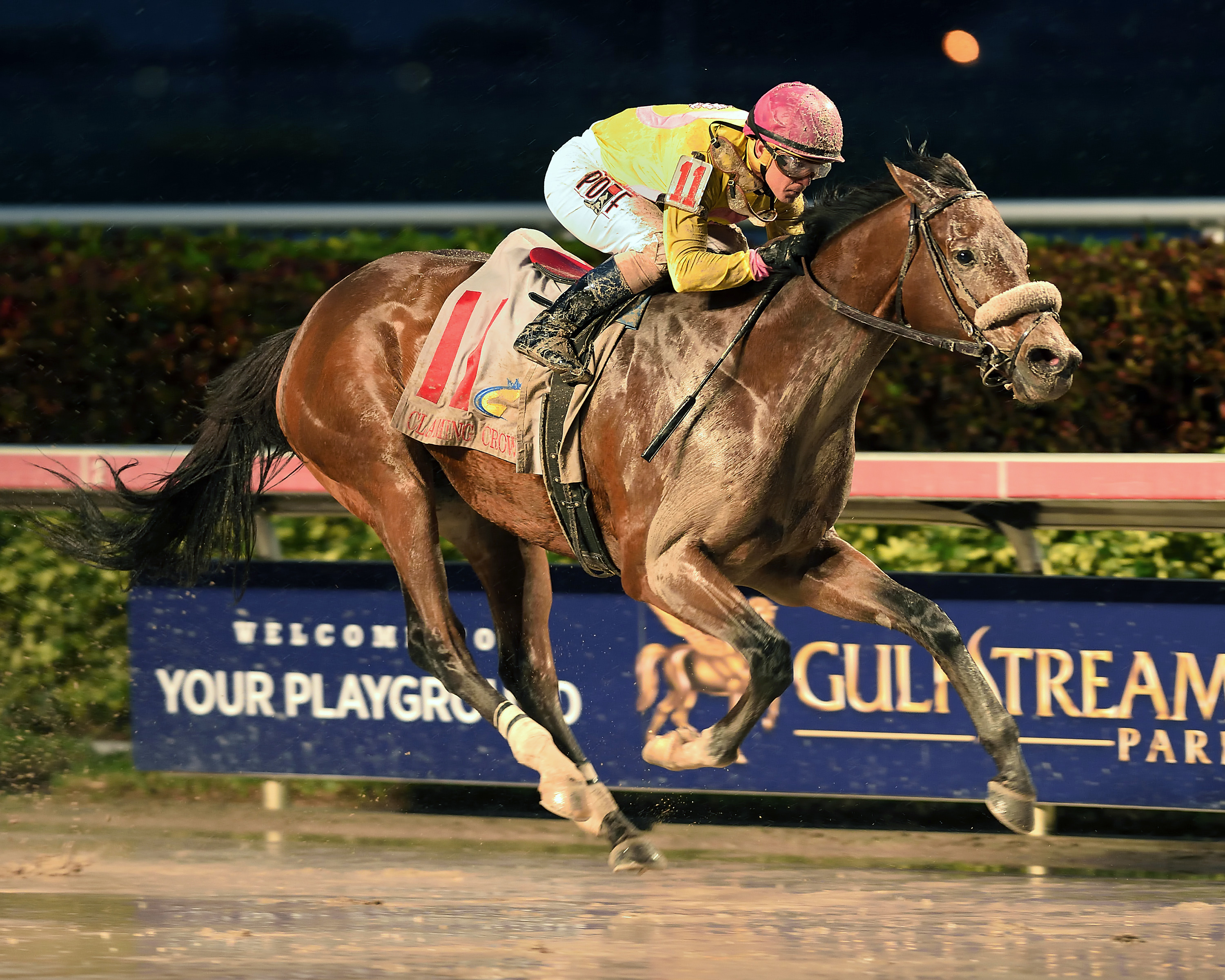 Royal Posse wins the Claiming Crown Jewel Stakes