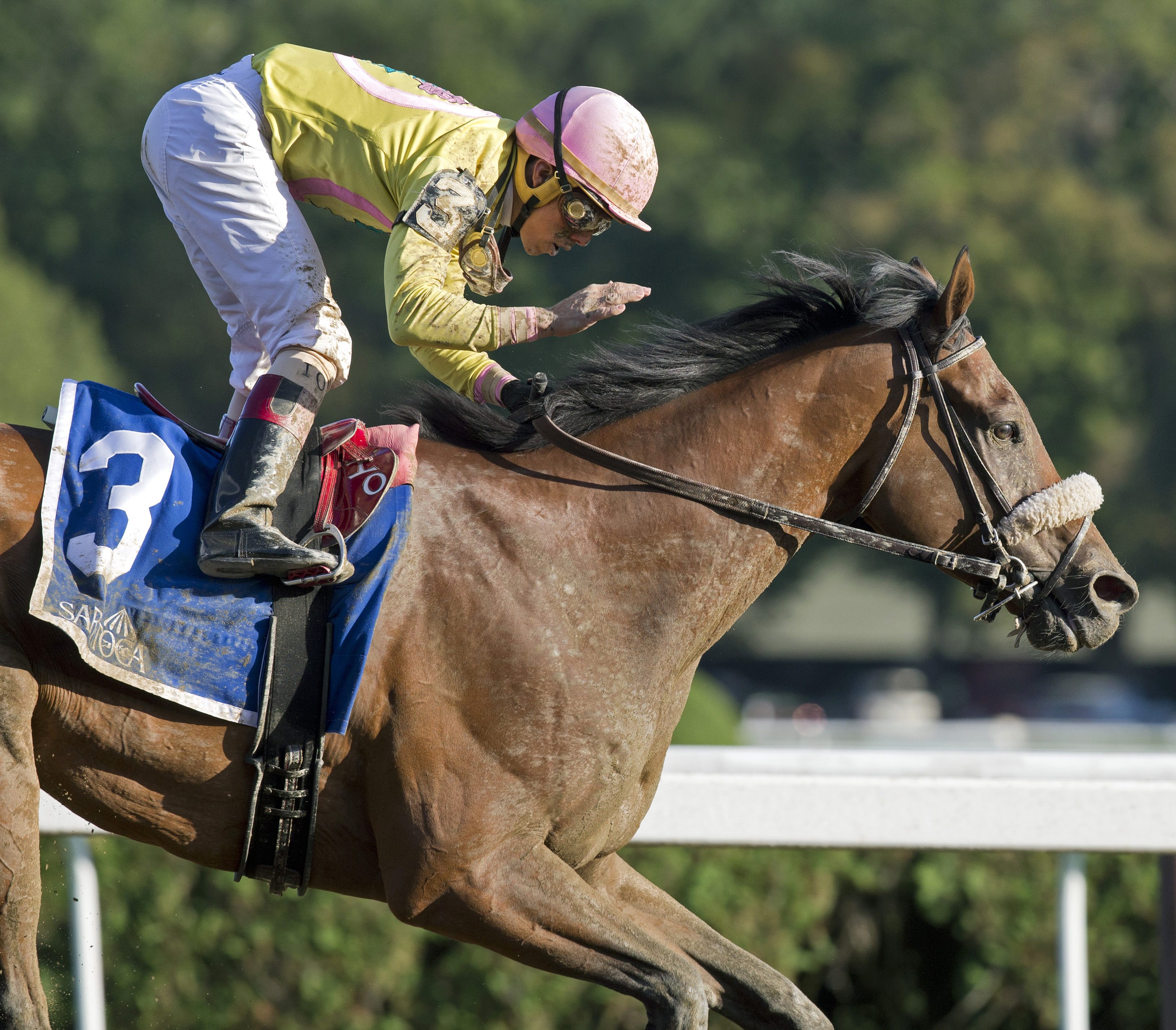 Royal Posse wins the Evan Shipman
