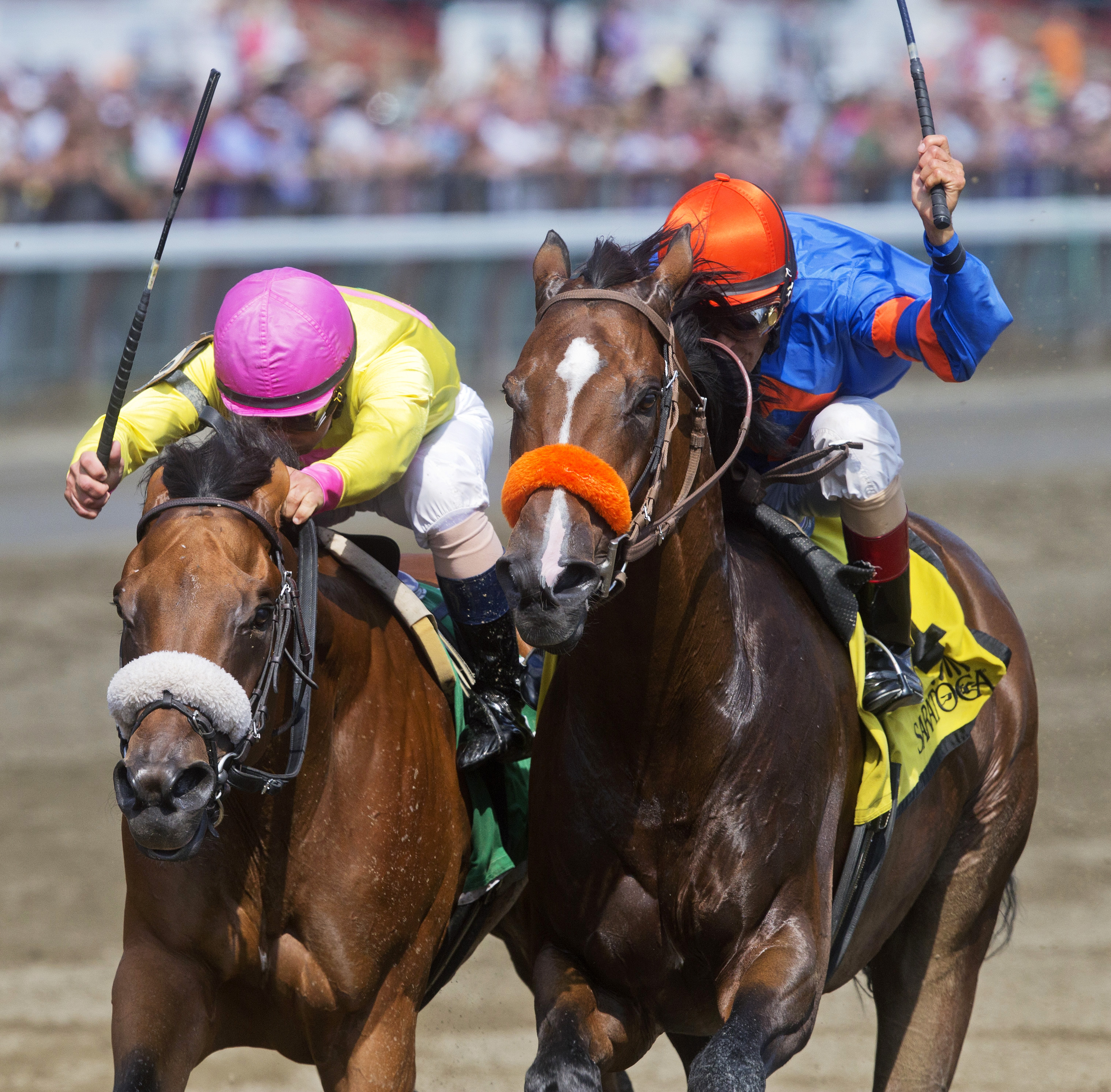 Royal Posse wins the Evan Shipman Stakes