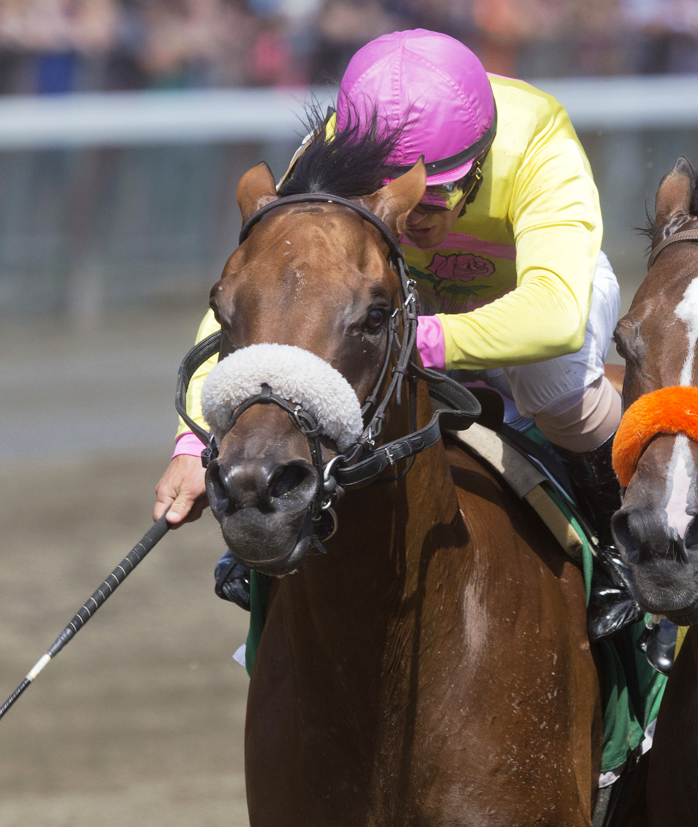 Royal Posse wins the Evan Shipman Stakes