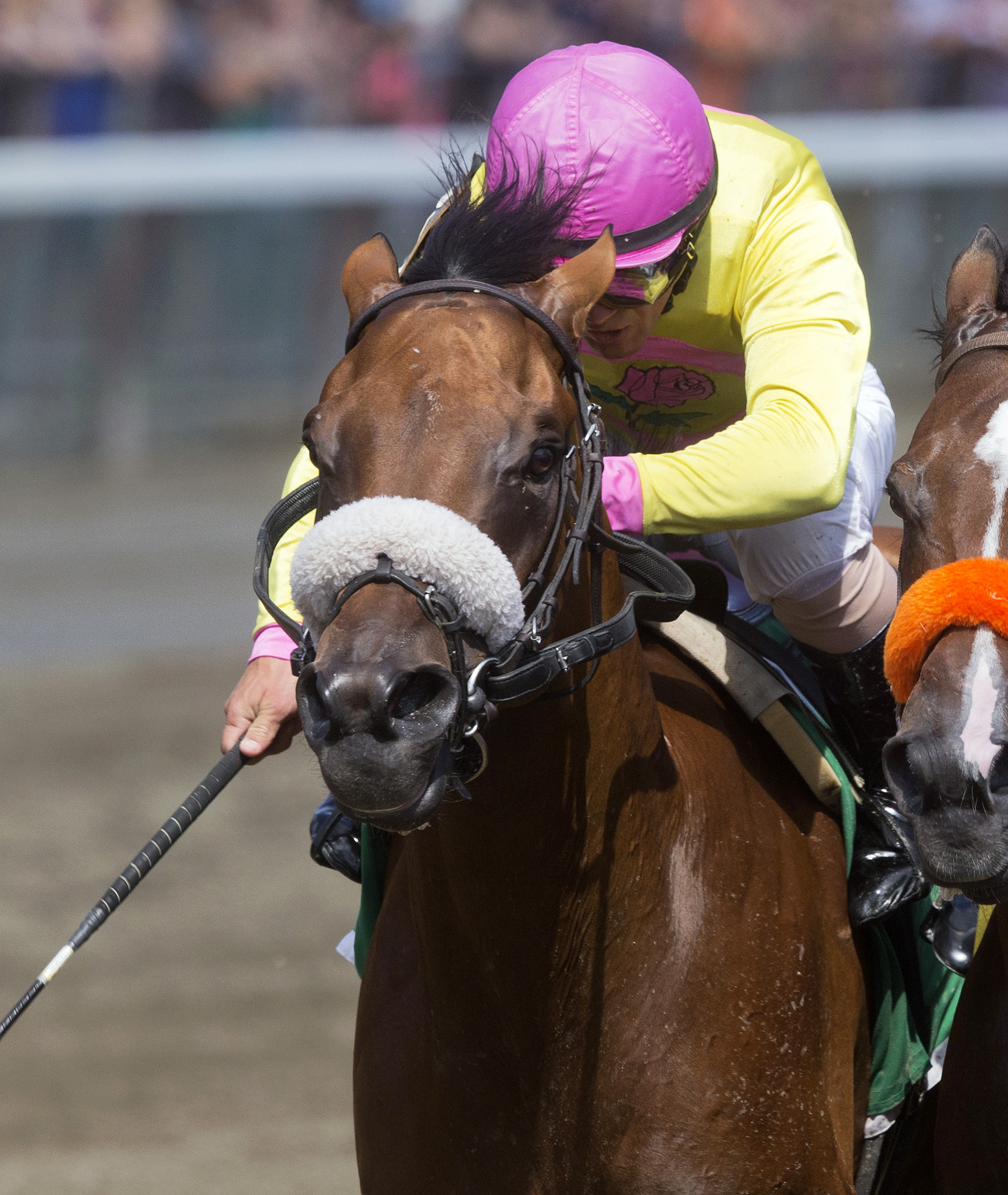 Royal Posse wins the Evan Shipman Stakes