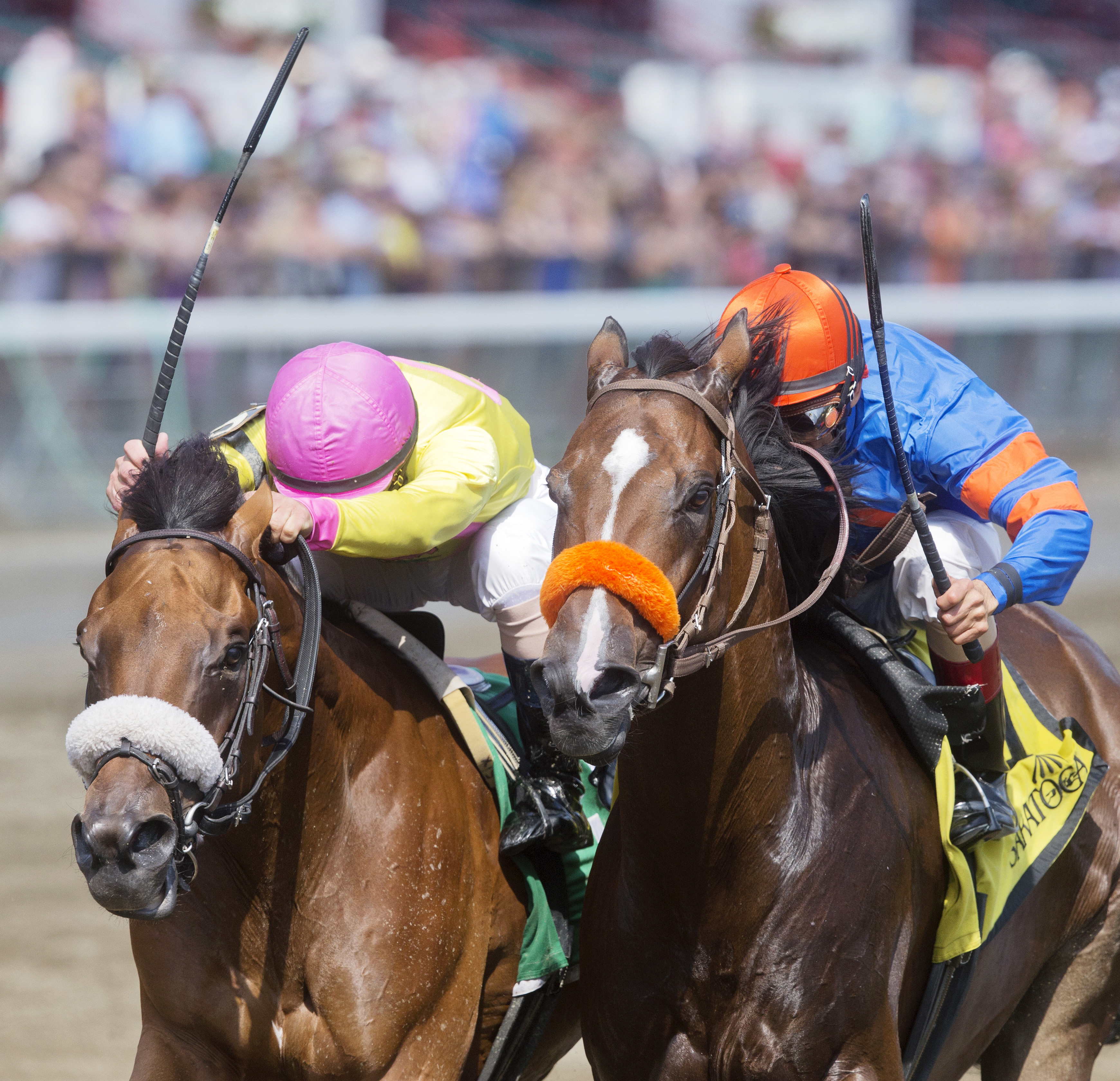Saratoga Snacks finishes second in the Evan Shipman
