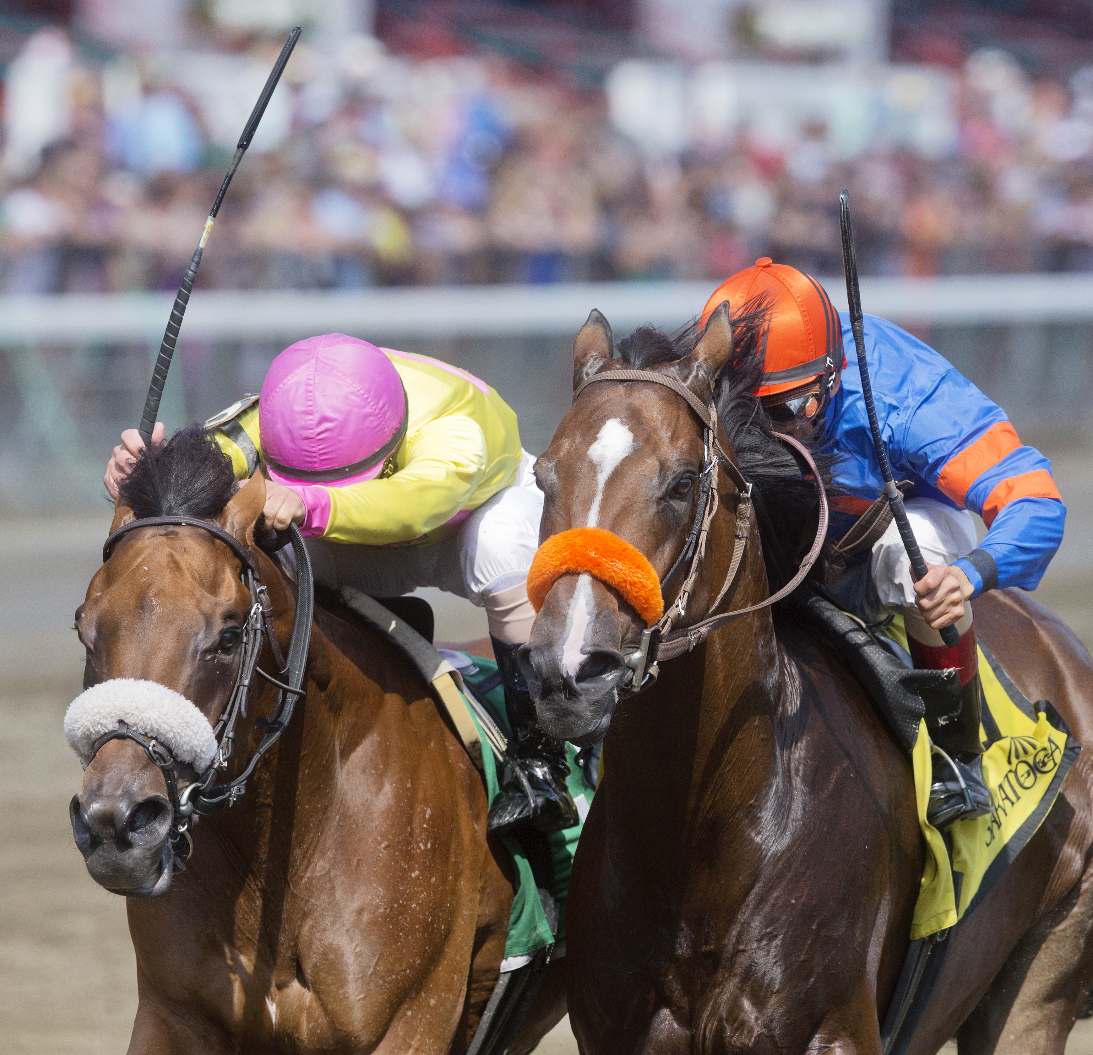 Royal Posse wins the Evan Shipman Stakes