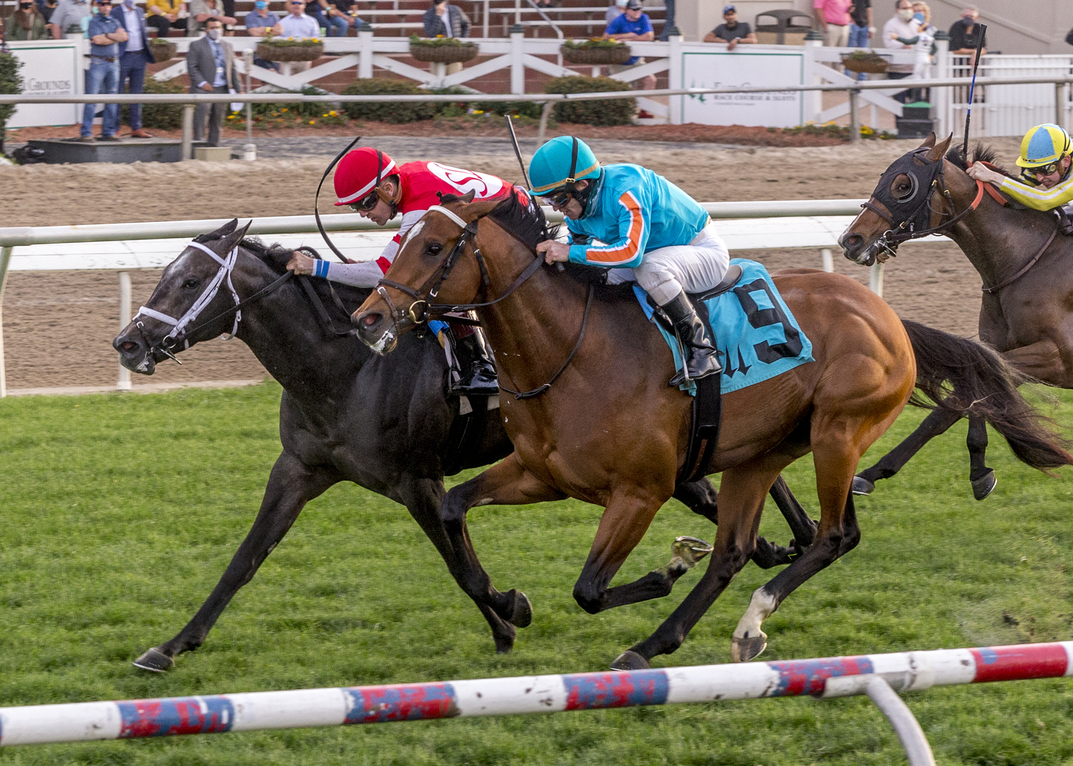 Royal Prince wins Black Gold 2-27-2021