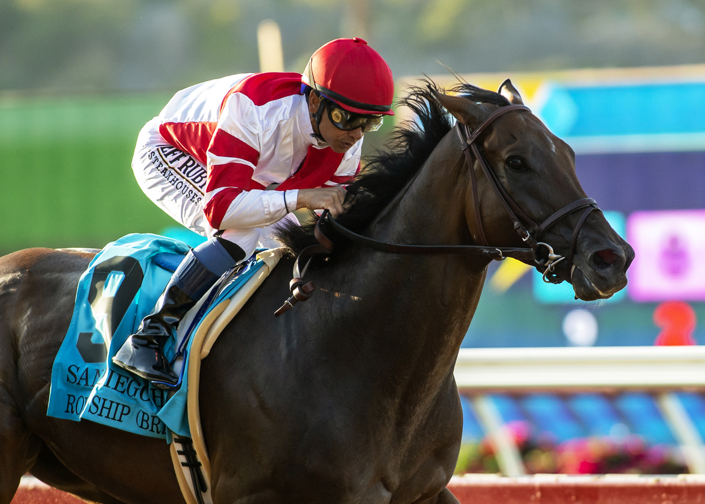 Royal Ship wins San Diego Handicap 7-30-2022