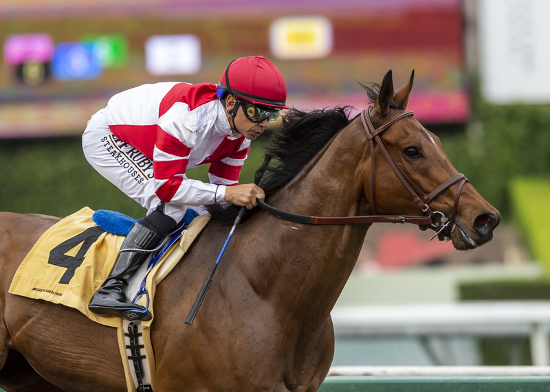 Royal Ship wins John Shear 4-10-2022
