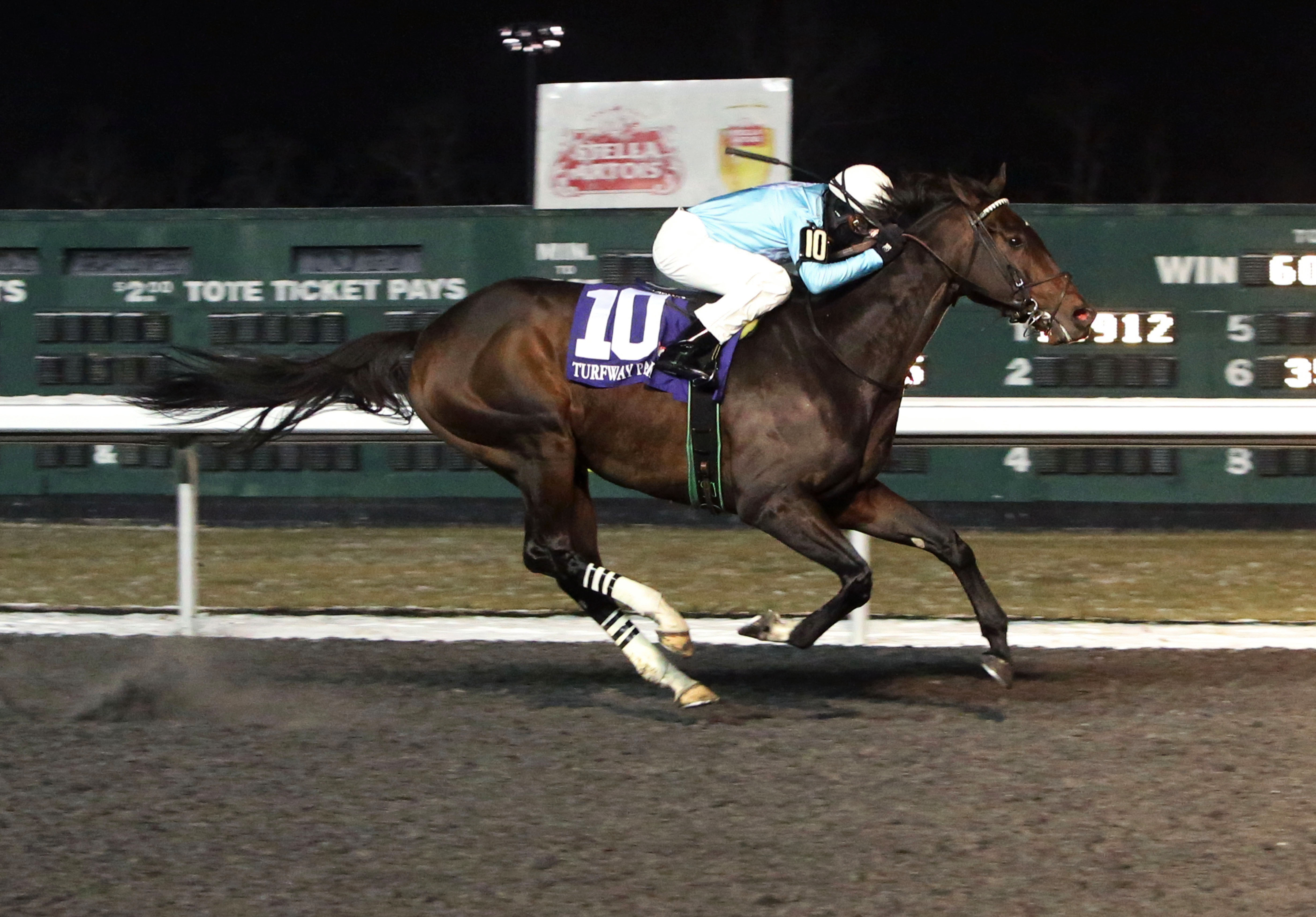 Royal Son wins the 2017 Prairie Bayou Stakes