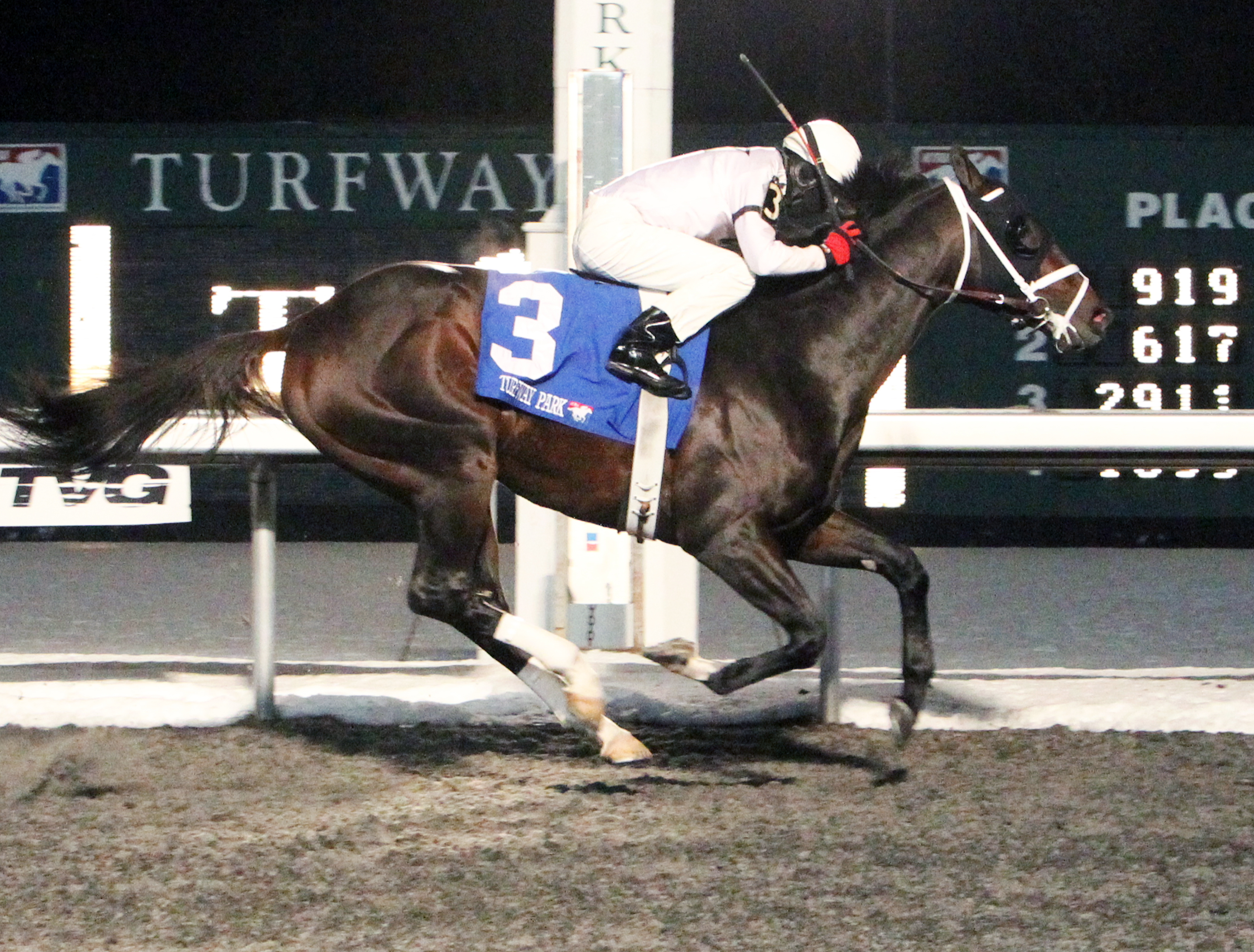 Royal Son wins the John Battaglia Memorial