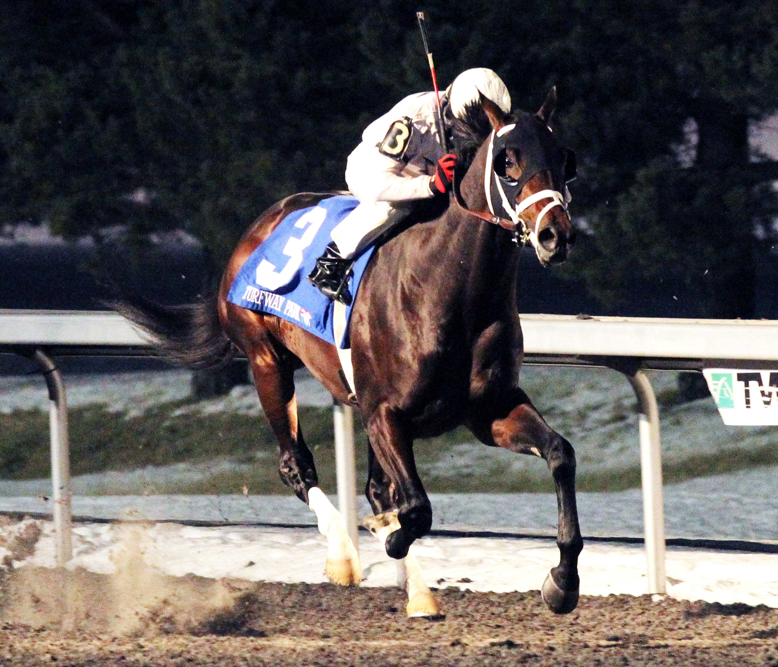 Royal Son wins the John Battaglia Memorial