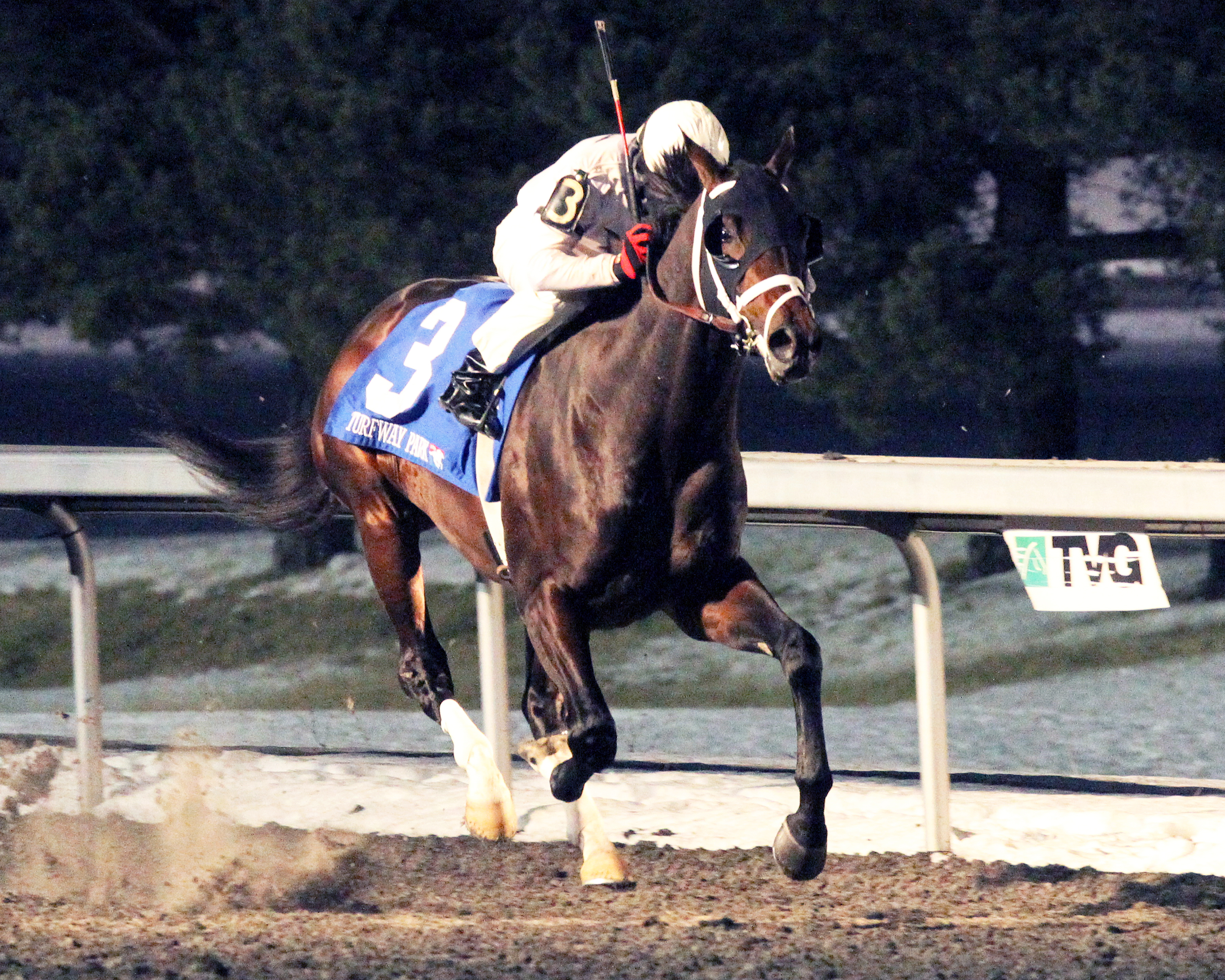 Royal Son wins the John Battaglia Memorial