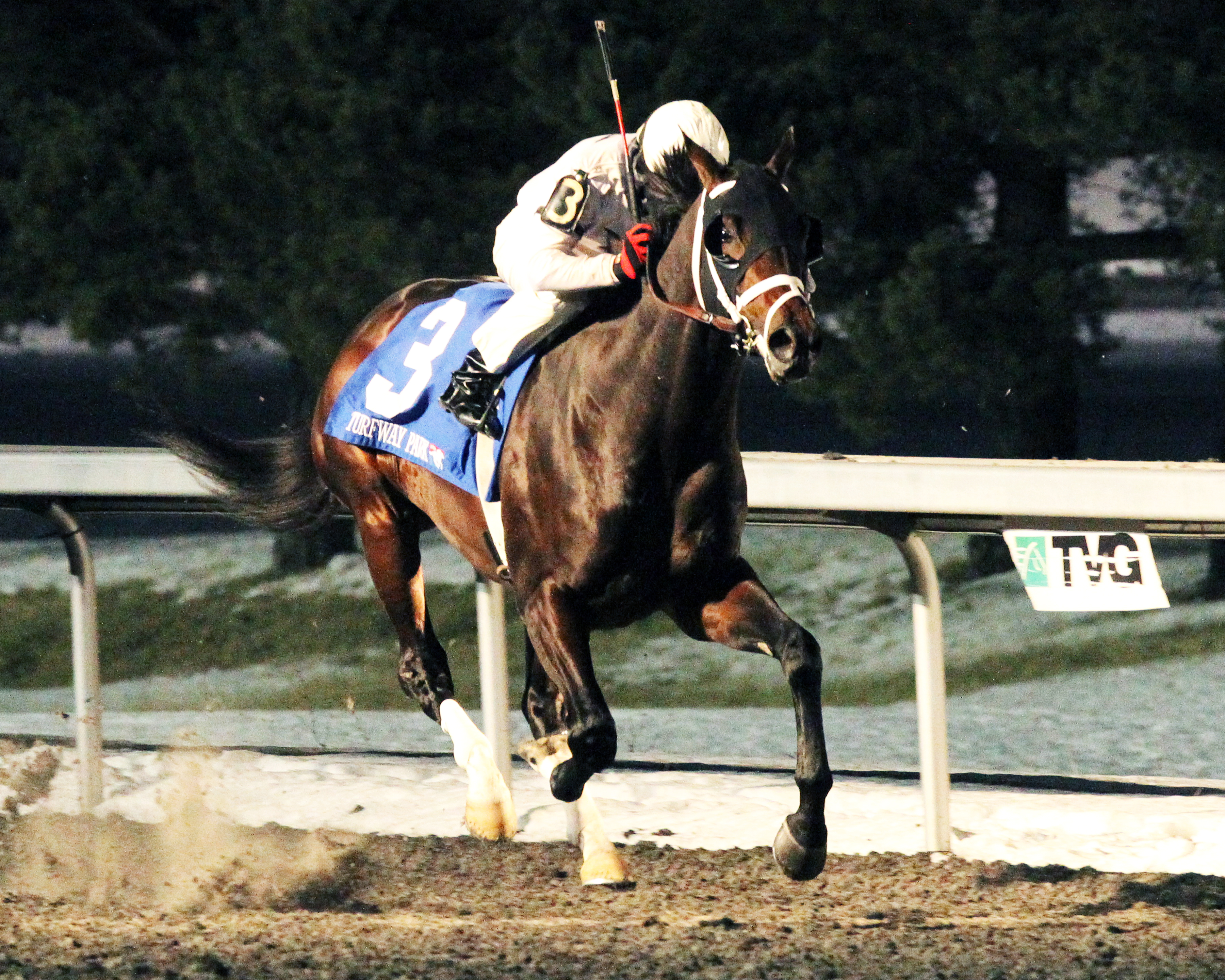 Royal Son wins the John Battaglia Memorial