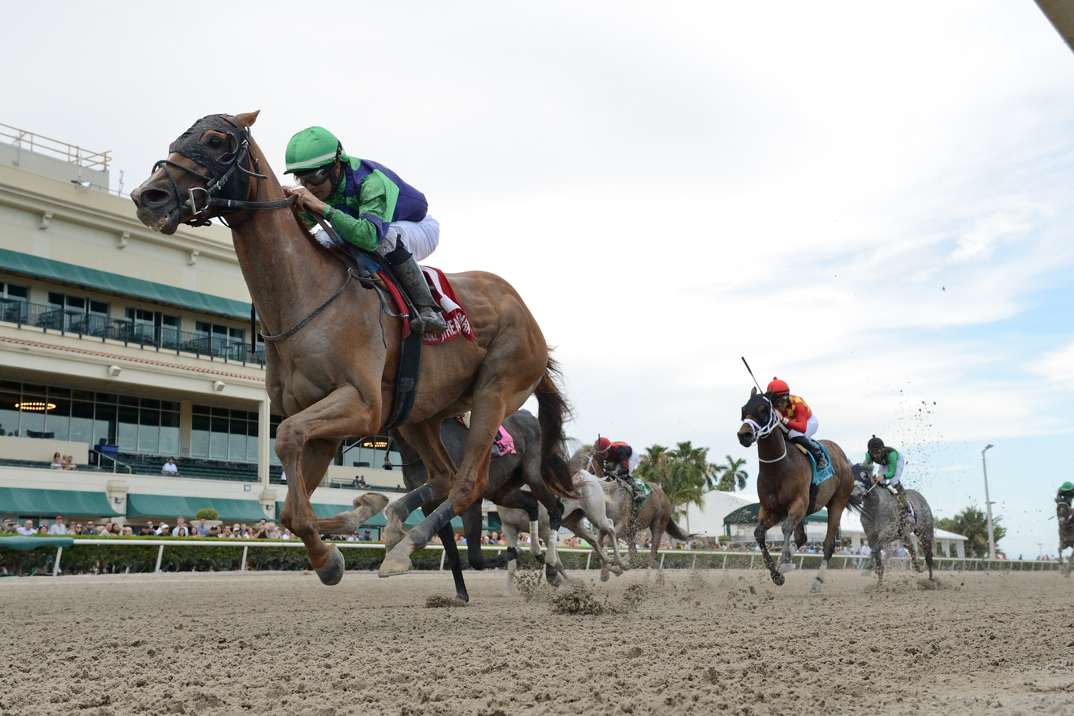 Royal Squeeze wins the 2019 Big Drama Stakes