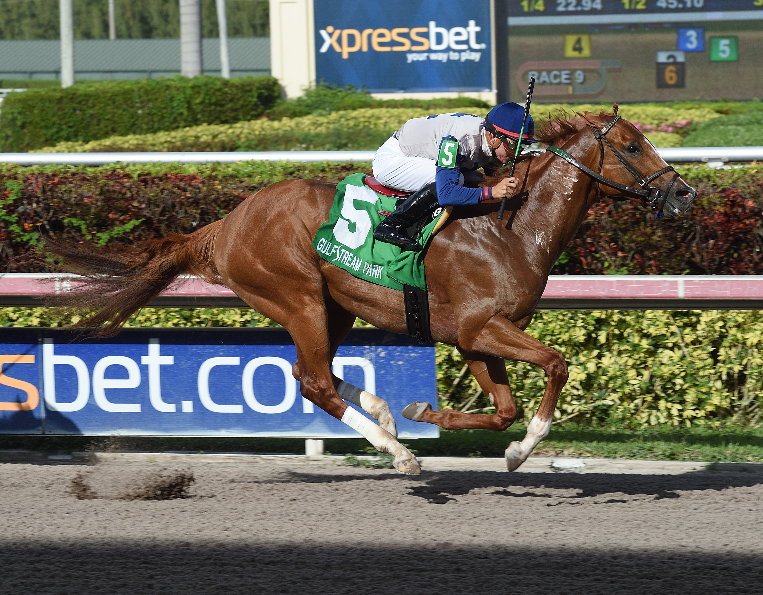 Royal Squeeze wins the Jeblar Stakes