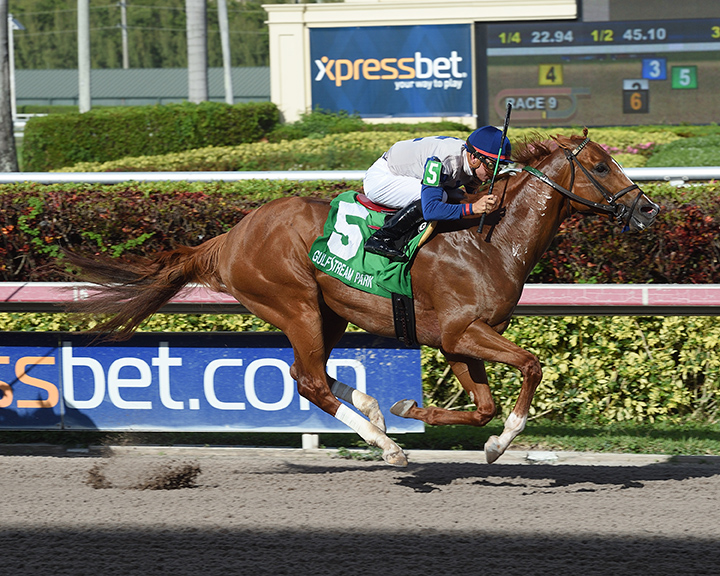 Royal Squeeze wins the 2017 Jeblar Stakes