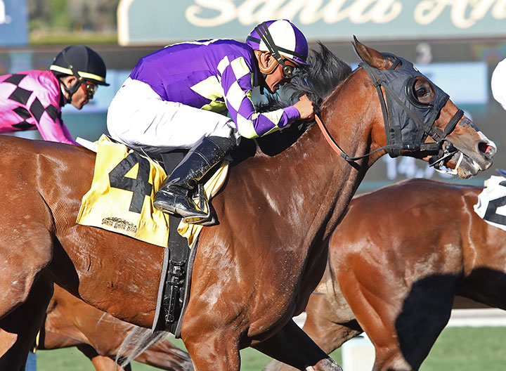 Royal Act finishes second in the Robert B. Lewis Stakes at Santa Anita Park