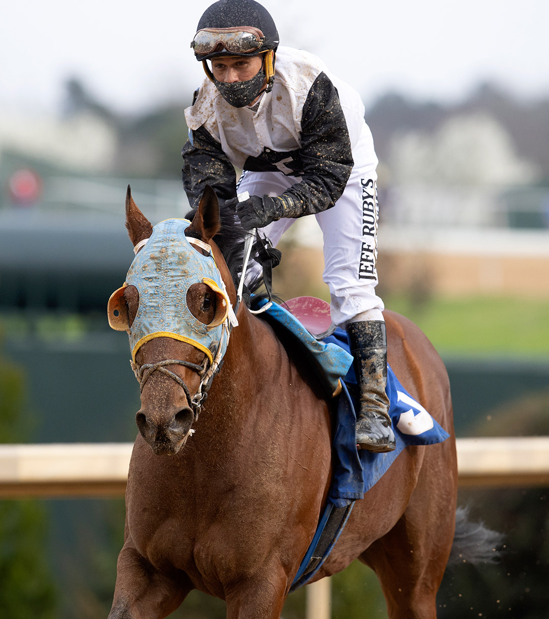 Royal Daaher at Oaklawn Park in March 2021