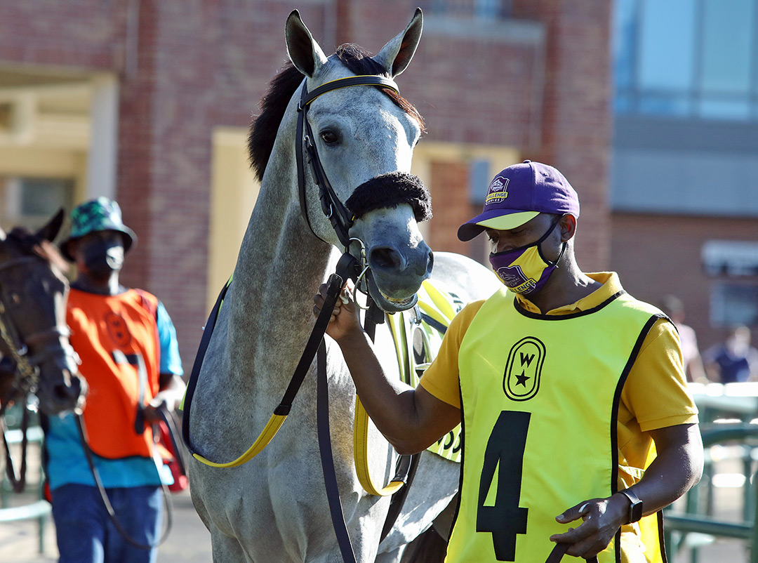 Royal Engagement at Woodbine Racetrack in September 2021