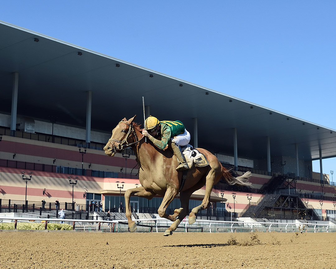 Royal Flag wins the 2020 Turnback the Alarm at Aqueduct Racetrack