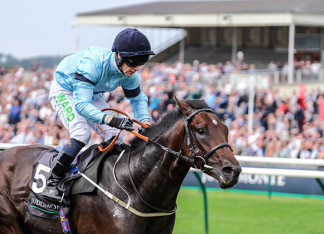 Royal Patronage wins the 2021 Juddmonte Royal Lodge Stakes at Newmarket
