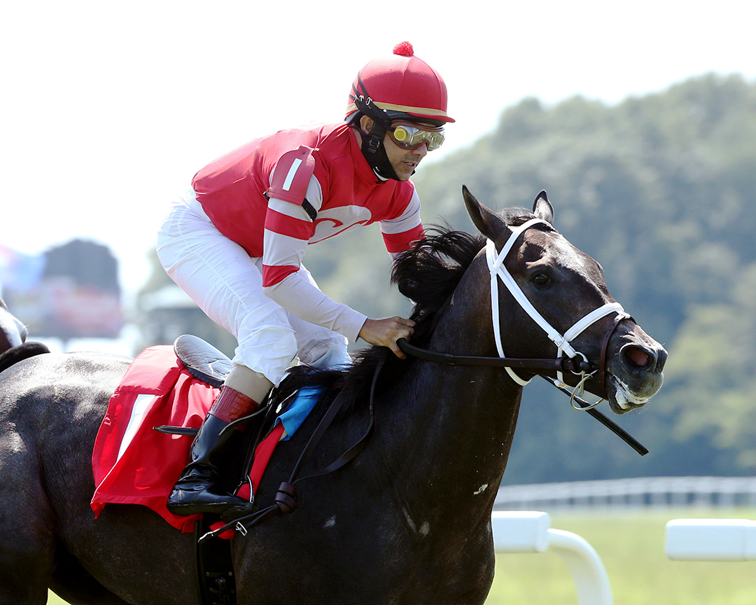 Royal Prince crosses the finish line first in a no contest race at Kentucky Downs on Sept. 7