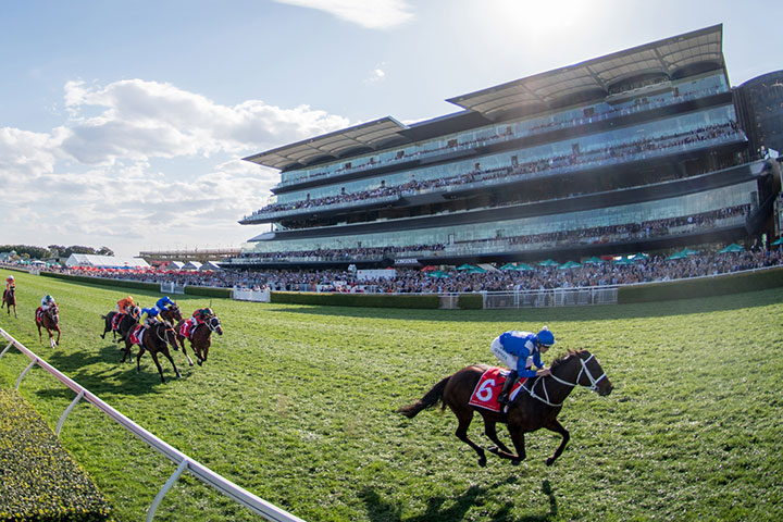 Melody Belle carries weight of success in Doncaster Mile